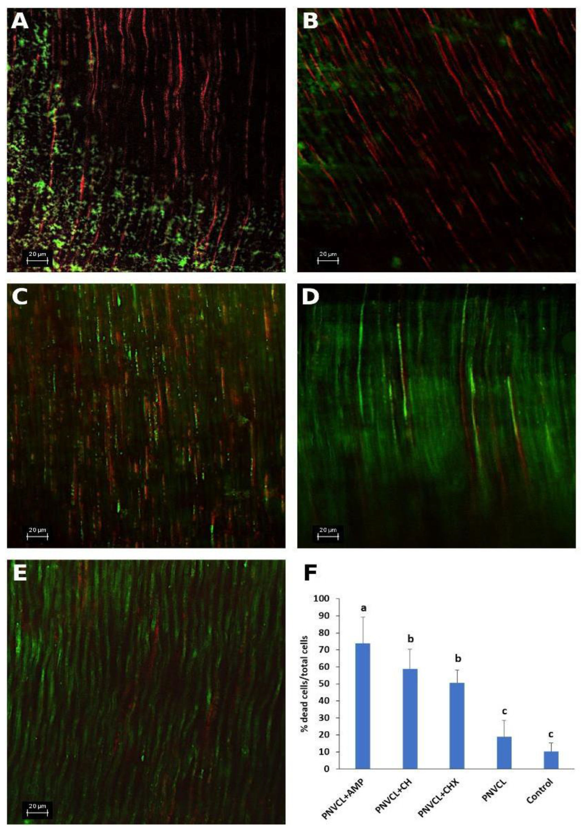 Jfb 13 00305 g005 Jfb 13 00305 g005