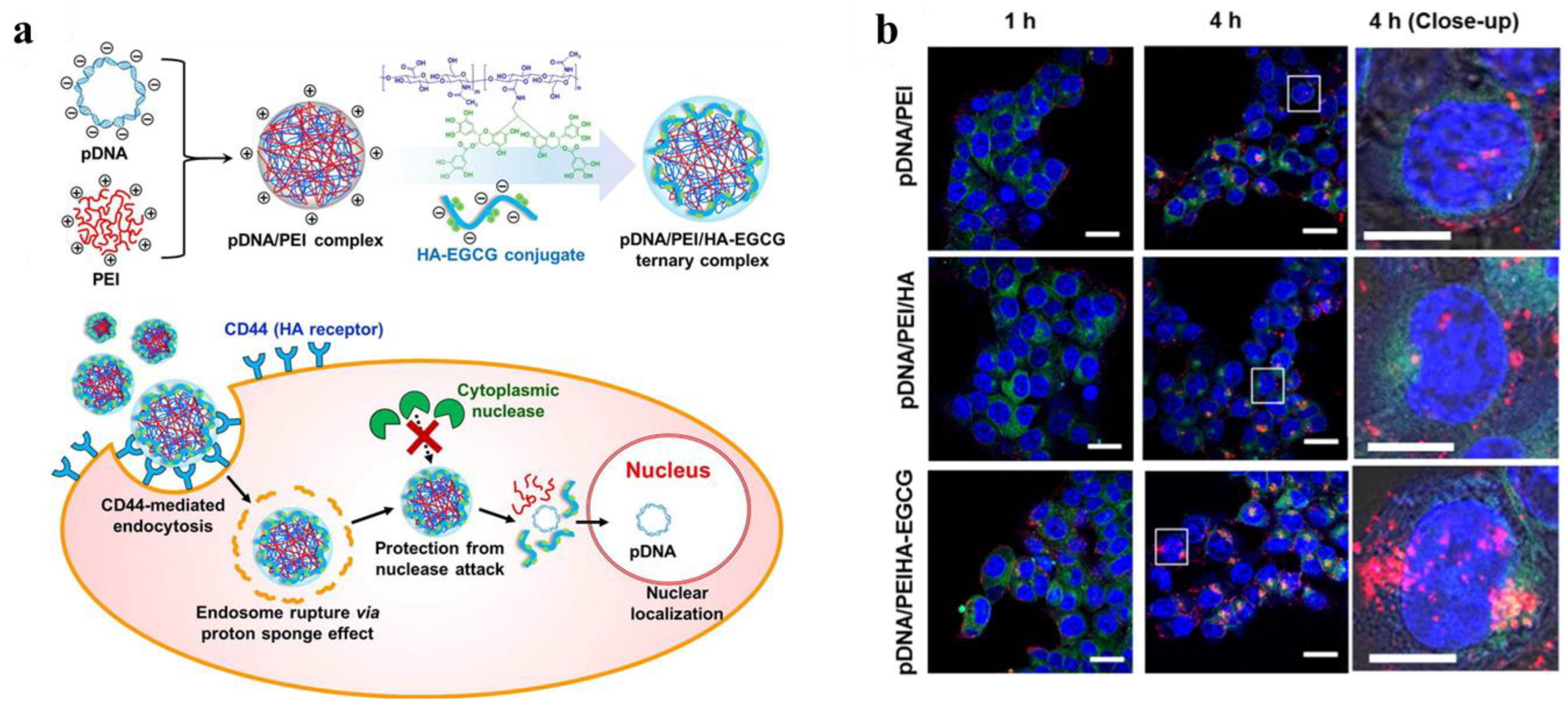 Jfb 14 00012 g005 Jfb 14 00012 g005