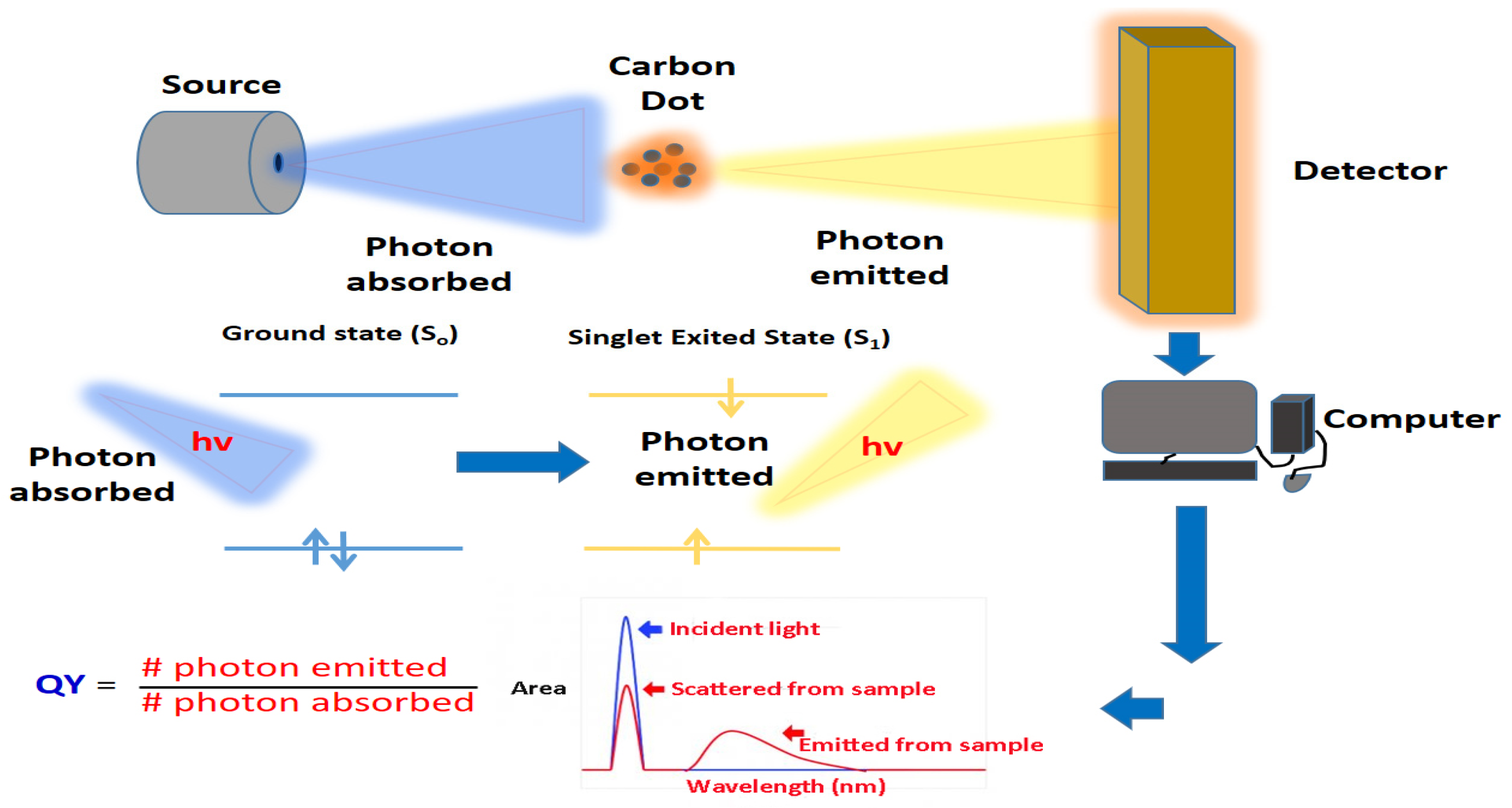 Jfb 14 00027 g007 Jfb 14 00027 g007
