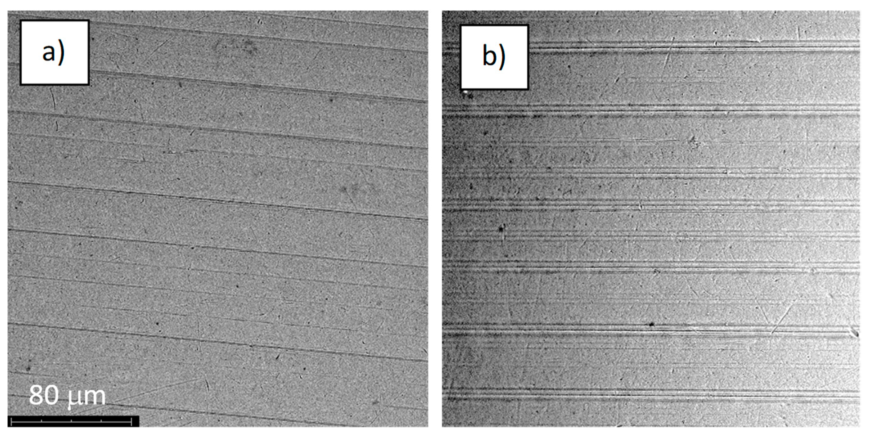 Jfb 14 00034 g009 Jfb 14 00034 g009