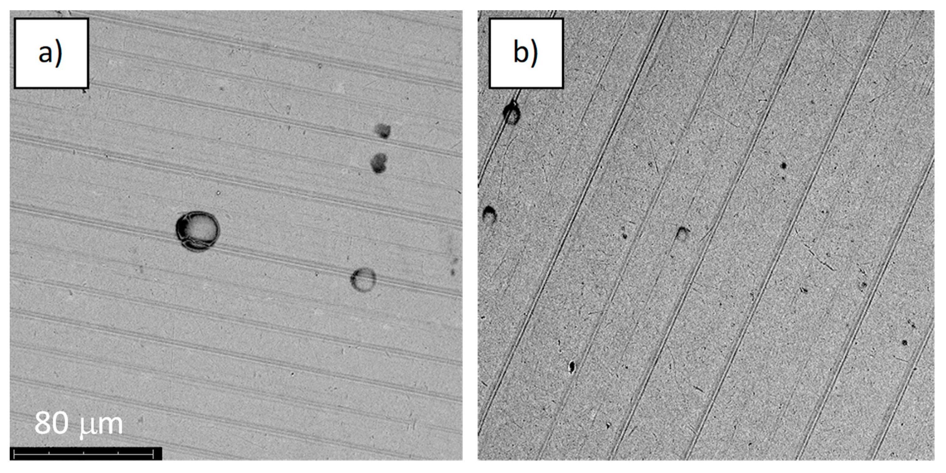 Jfb 14 00034 g021 Jfb 14 00034 g021