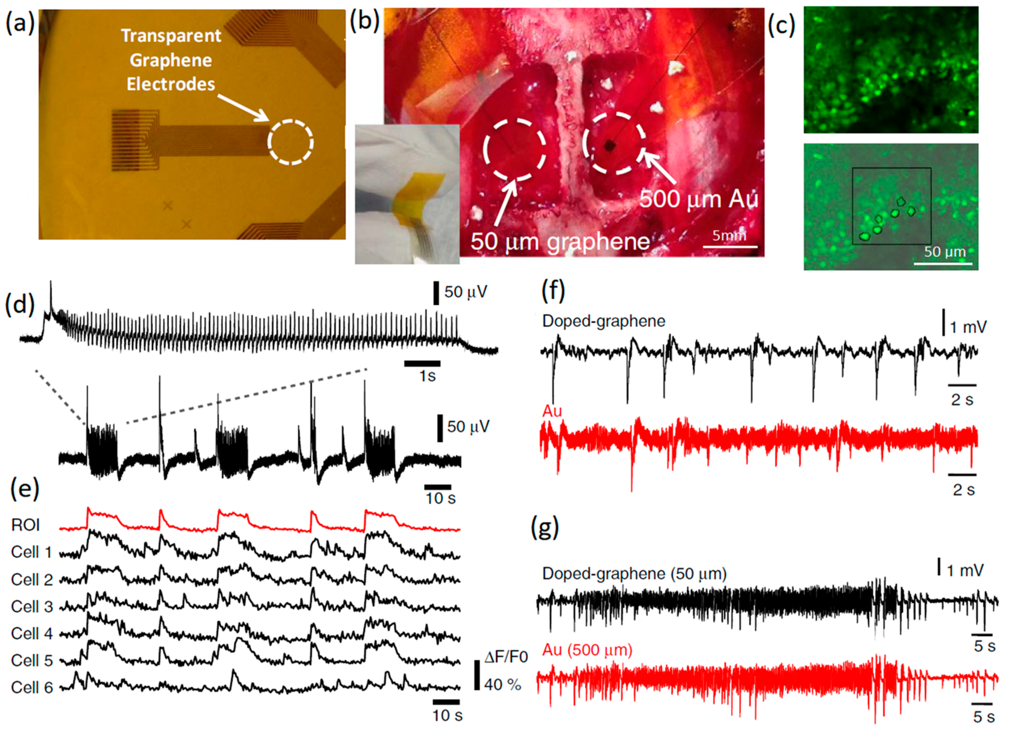 Jfb 14 00035 g002 Jfb 14 00035 g002