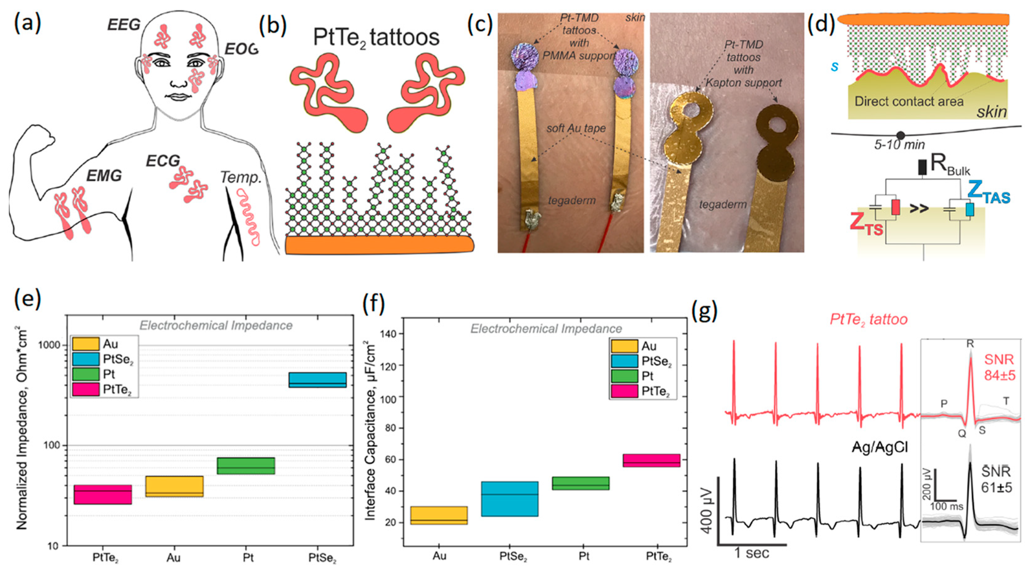 Jfb 14 00035 g006 Jfb 14 00035 g006