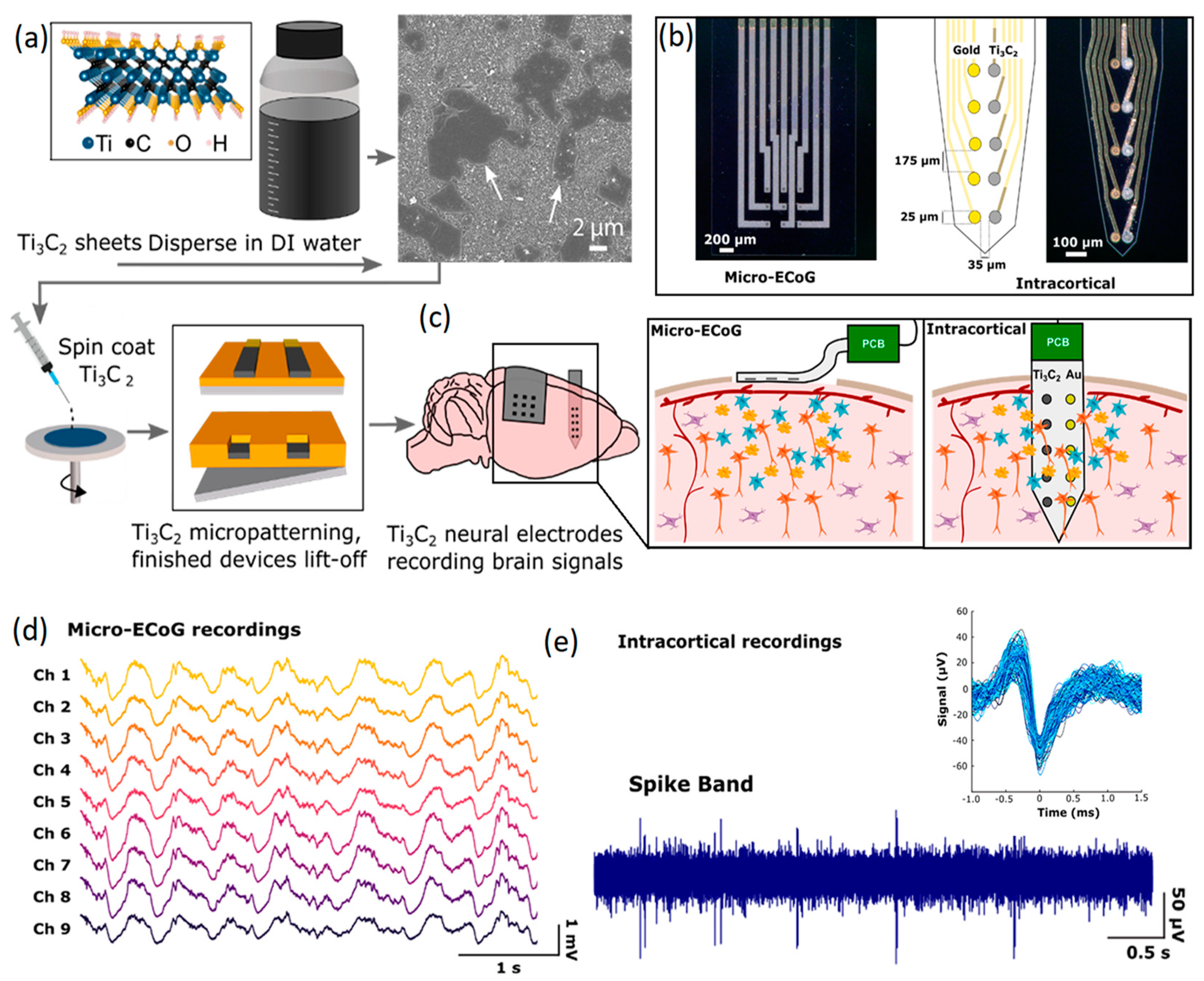Jfb 14 00035 g007 Jfb 14 00035 g007
