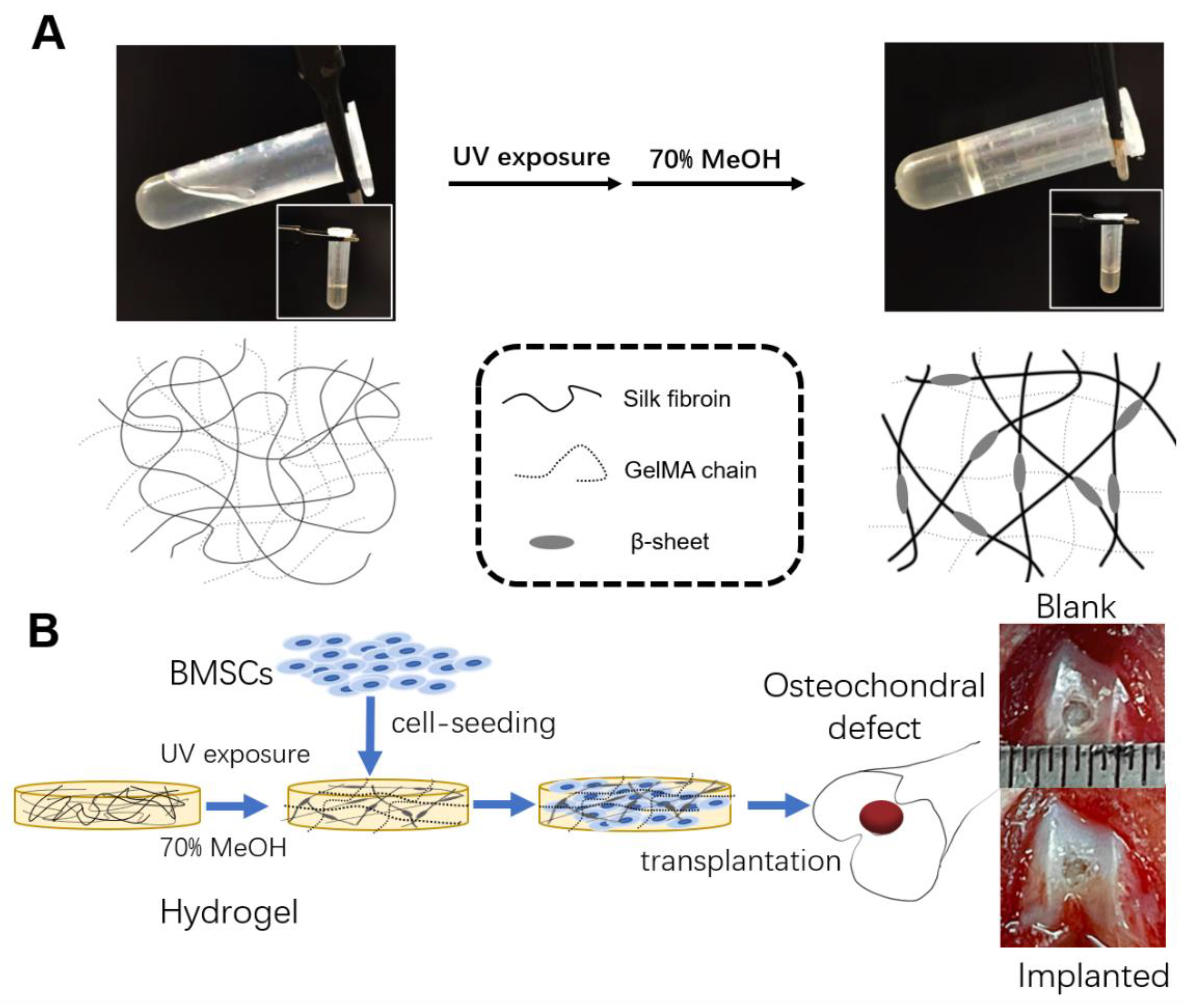 Jfb 14 00039 g001 Jfb 14 00039 g001
