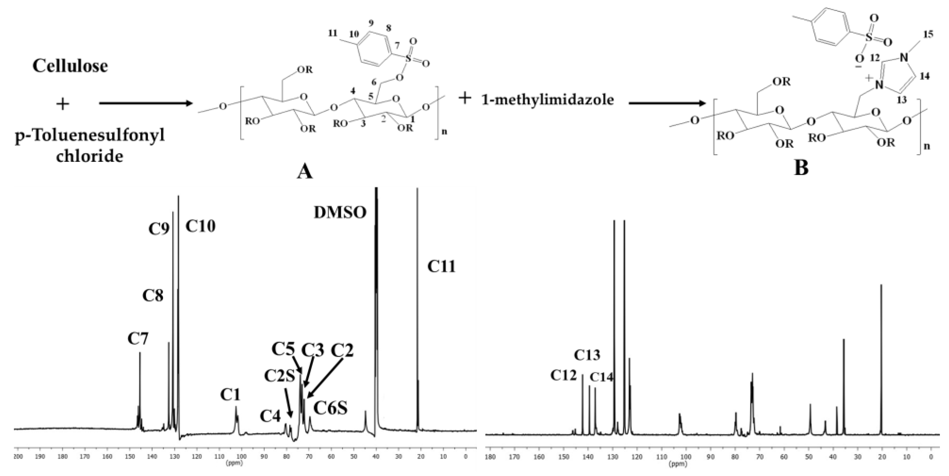 Jfb 14 00060 g002 Jfb 14 00060 g002