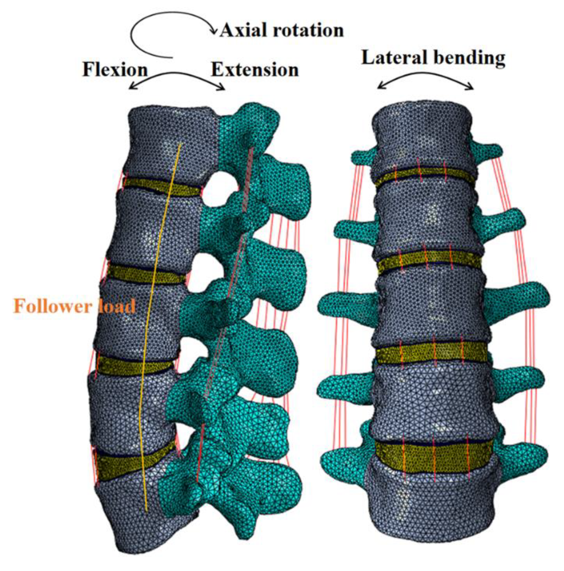 Jfb 14 00113 g001 Jfb 14 00113 g001