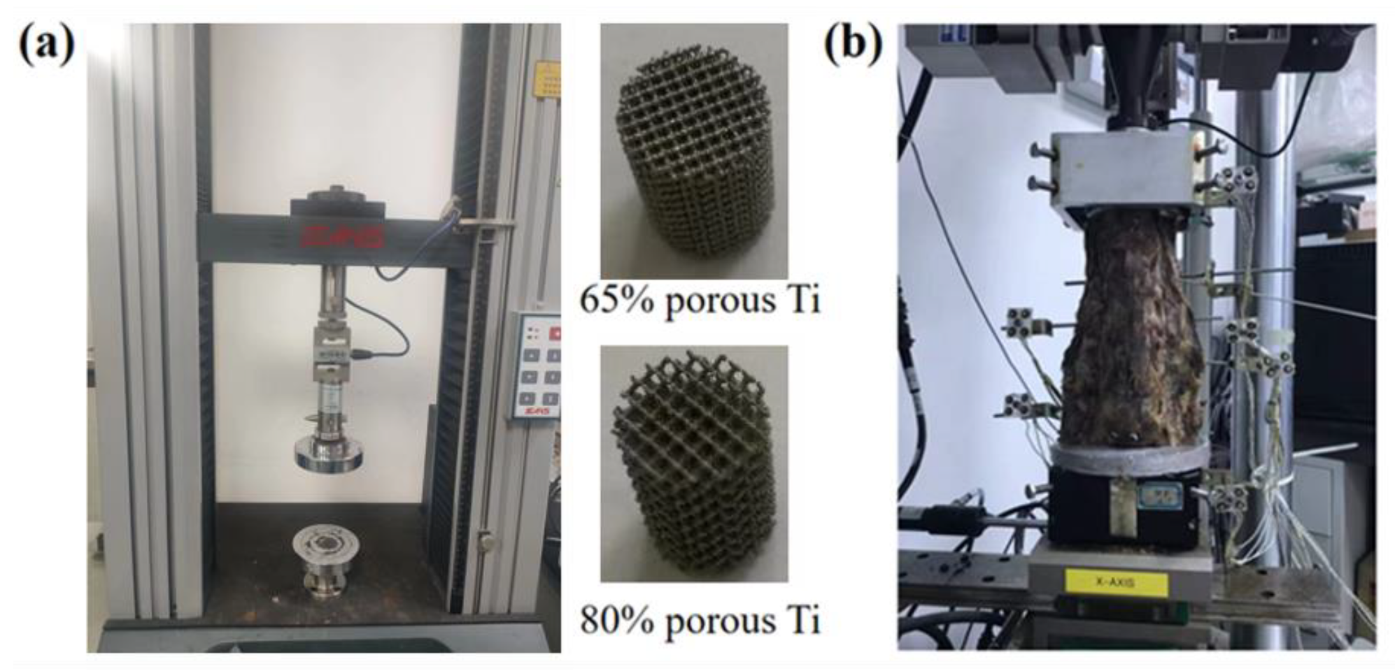 Jfb 14 00113 g003 Jfb 14 00113 g003