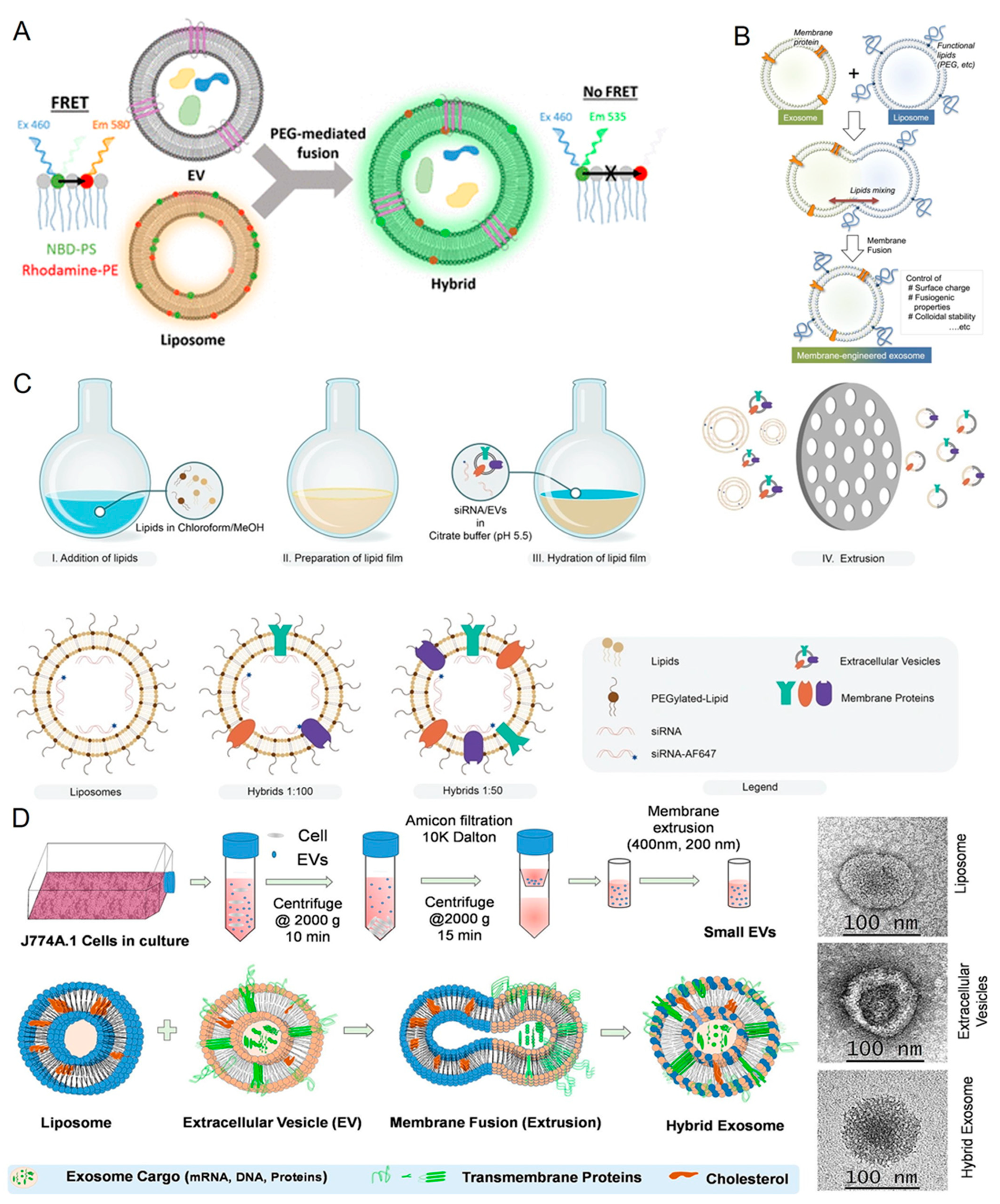 Jfb 14 00117 g002 Jfb 14 00117 g002