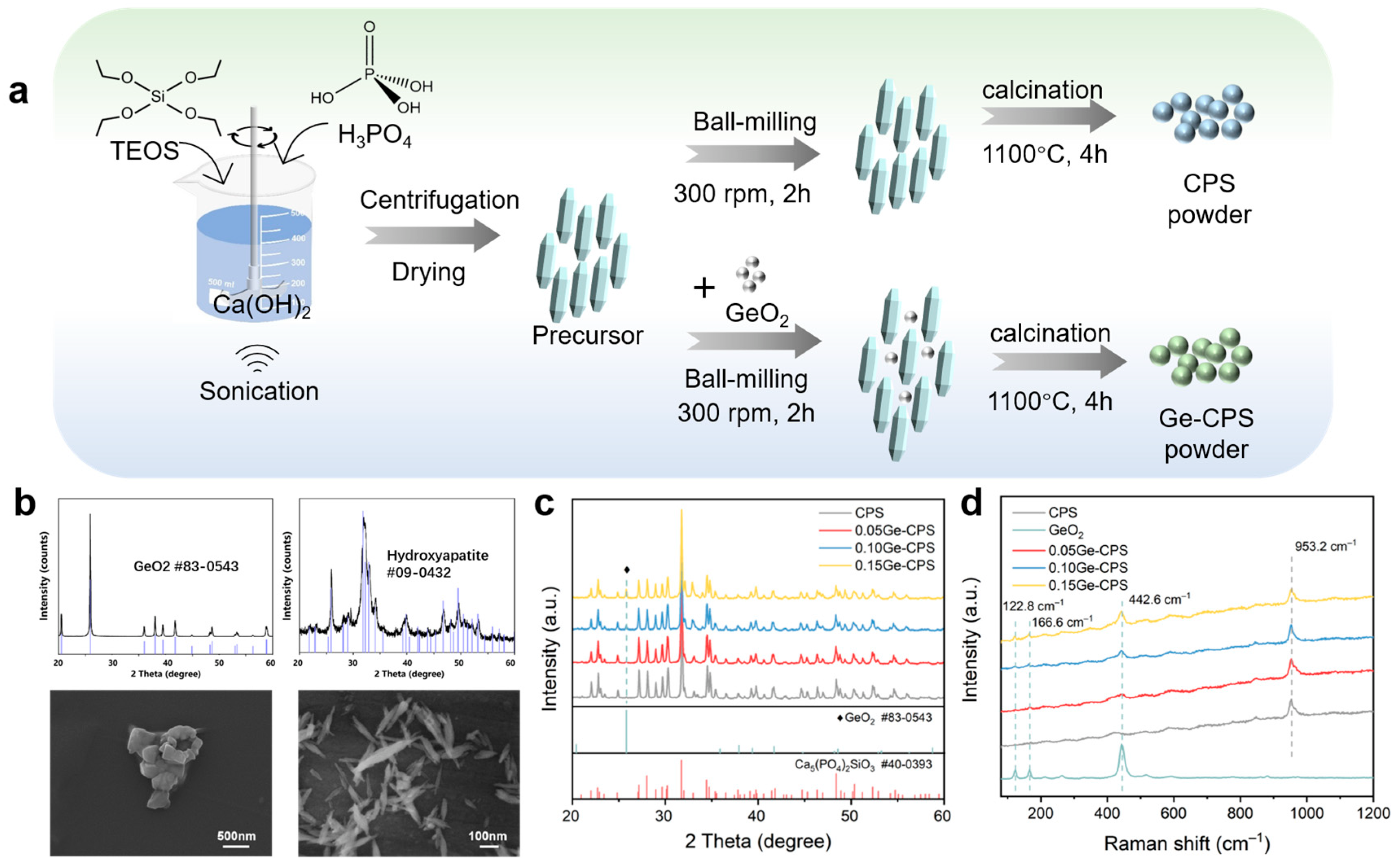 Jfb 14 00154 g001 Jfb 14 00154 g001