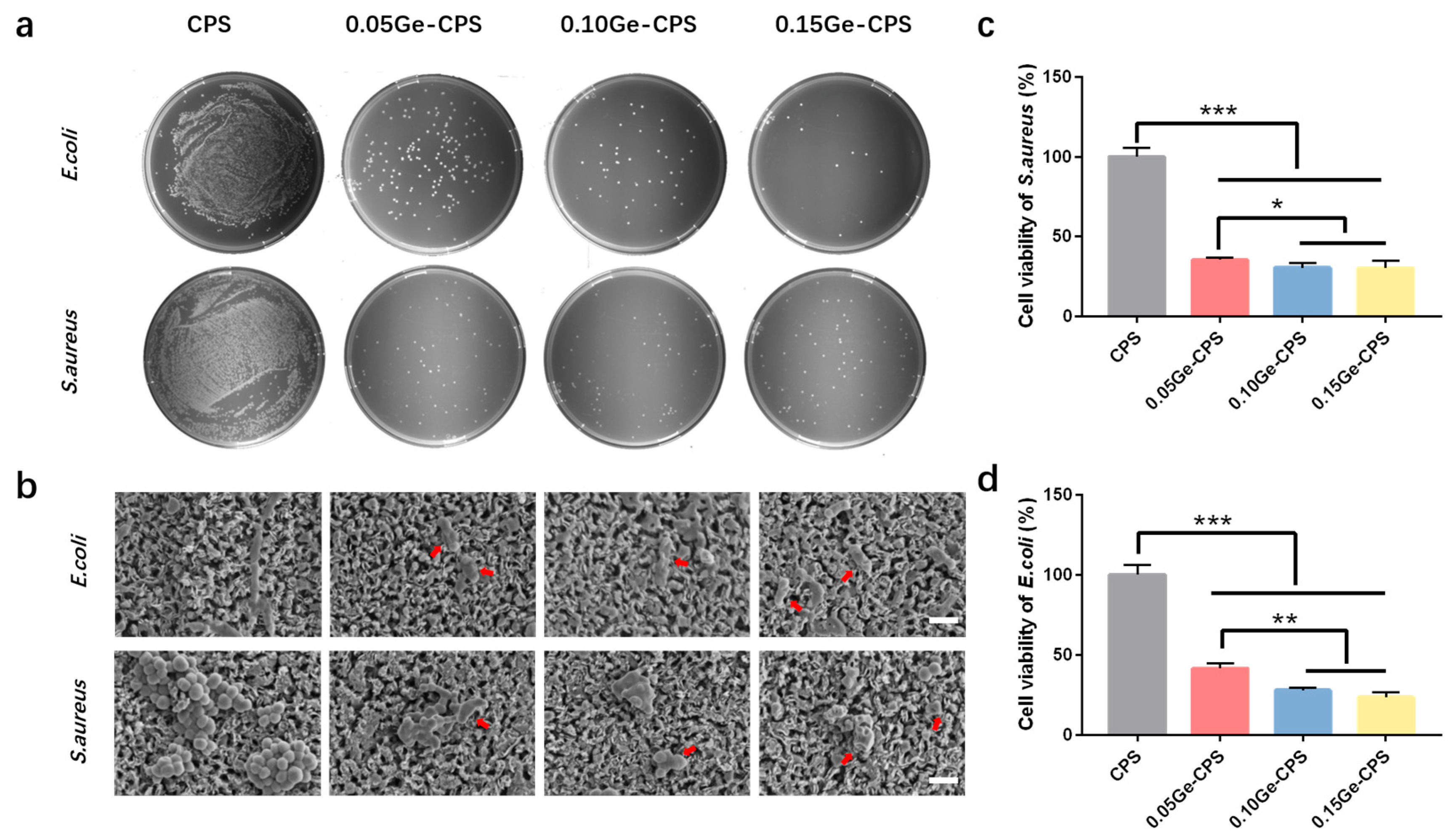 Jfb 14 00154 g004 Jfb 14 00154 g004