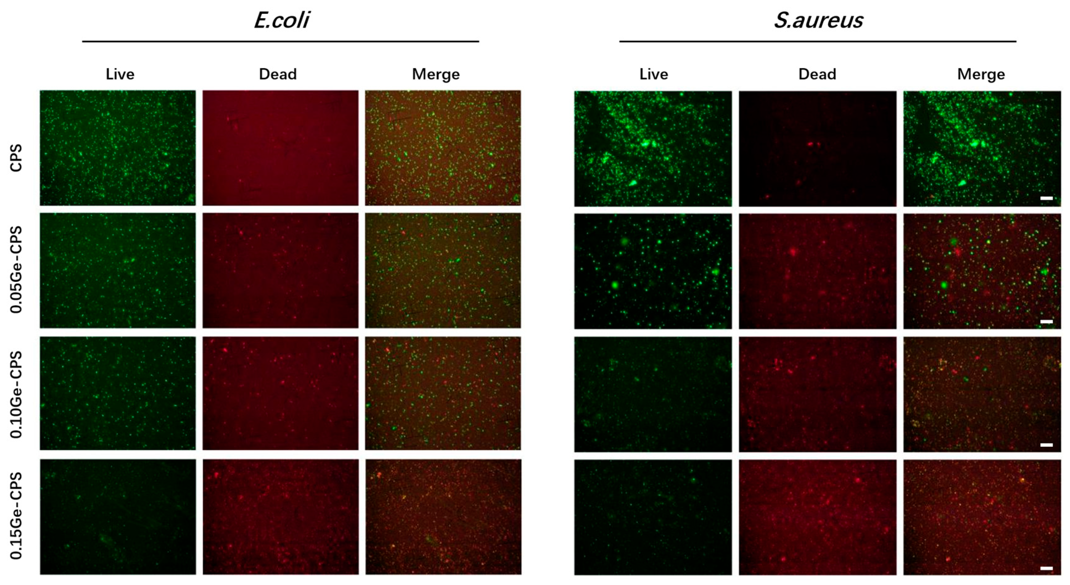 Jfb 14 00154 g005 Jfb 14 00154 g005