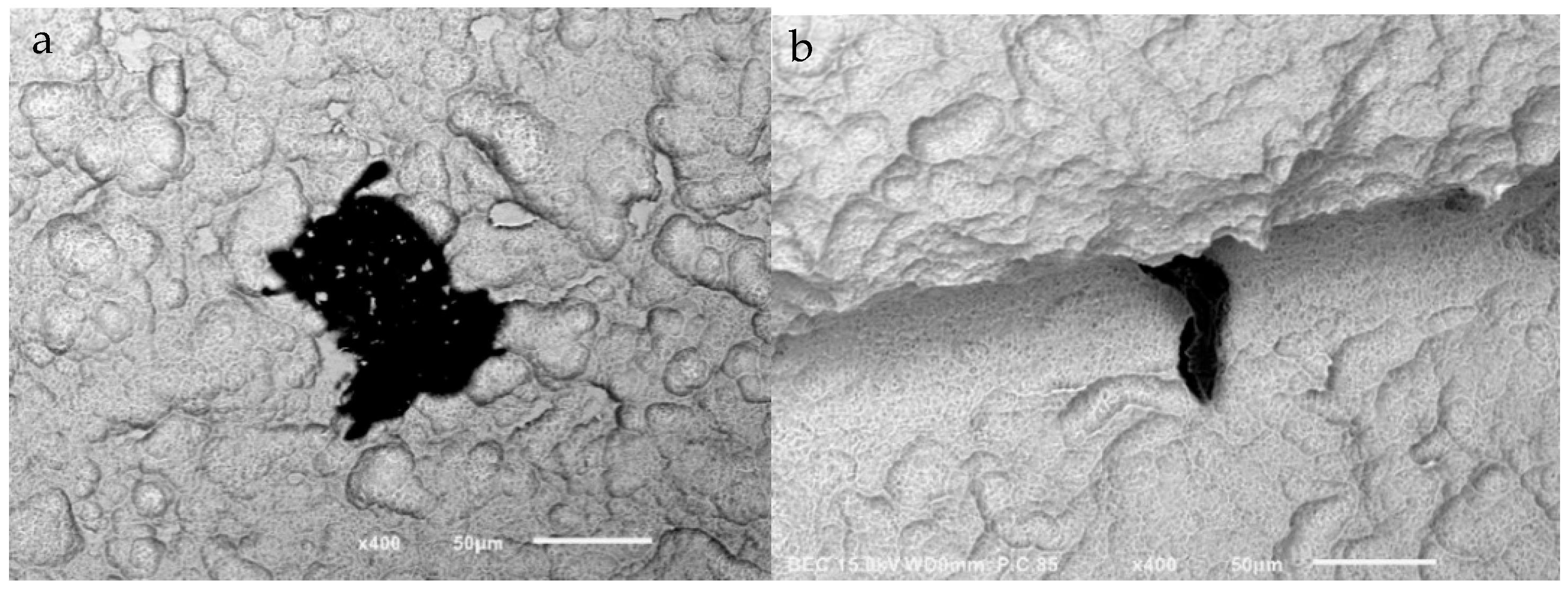 Jfb 14 00172 g002 Jfb 14 00172 g002