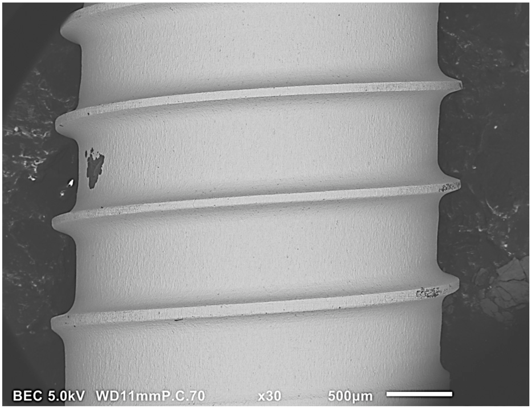 Jfb 14 00172 g004 Jfb 14 00172 g004