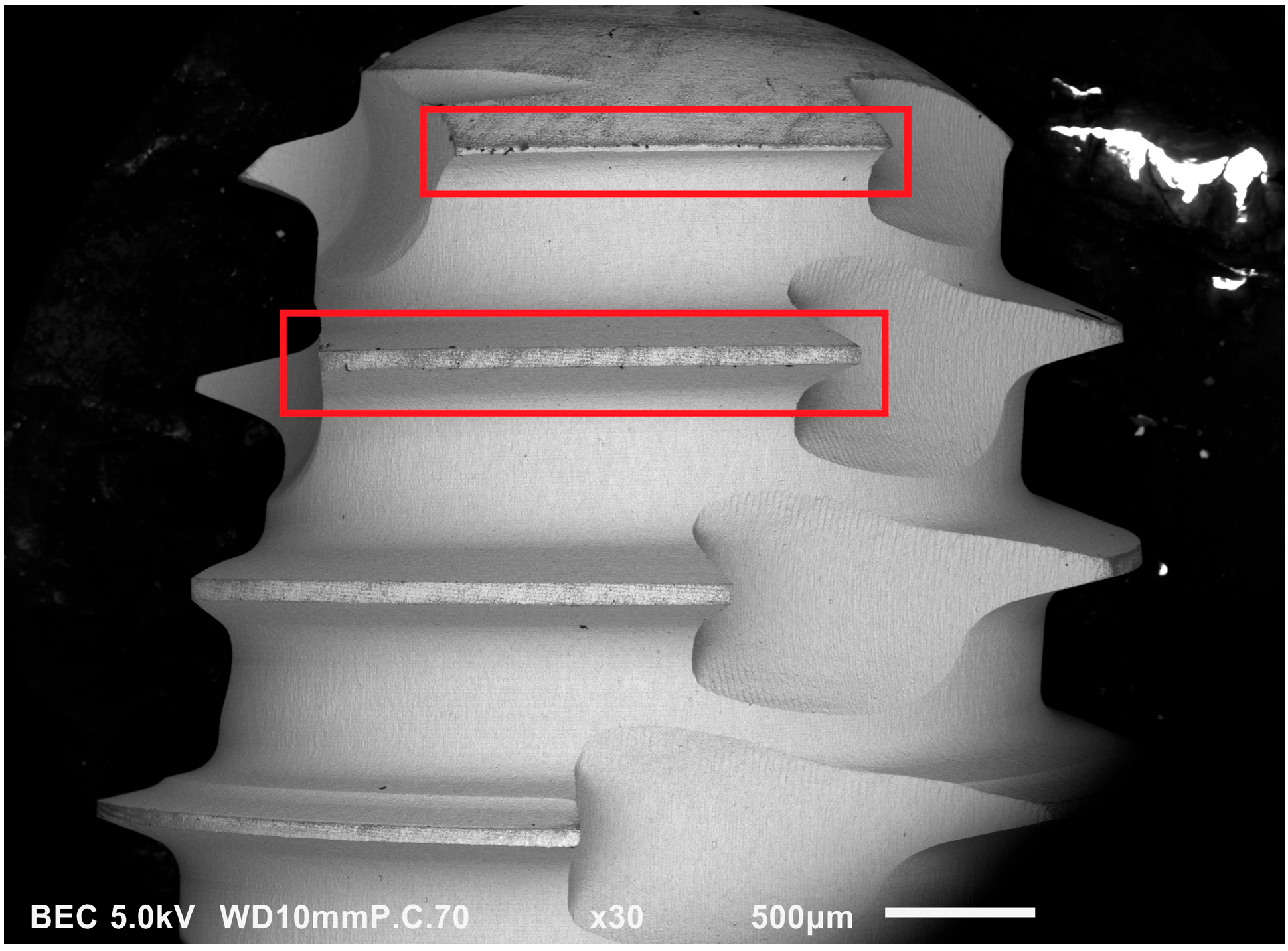 Jfb 14 00172 g005 Jfb 14 00172 g005