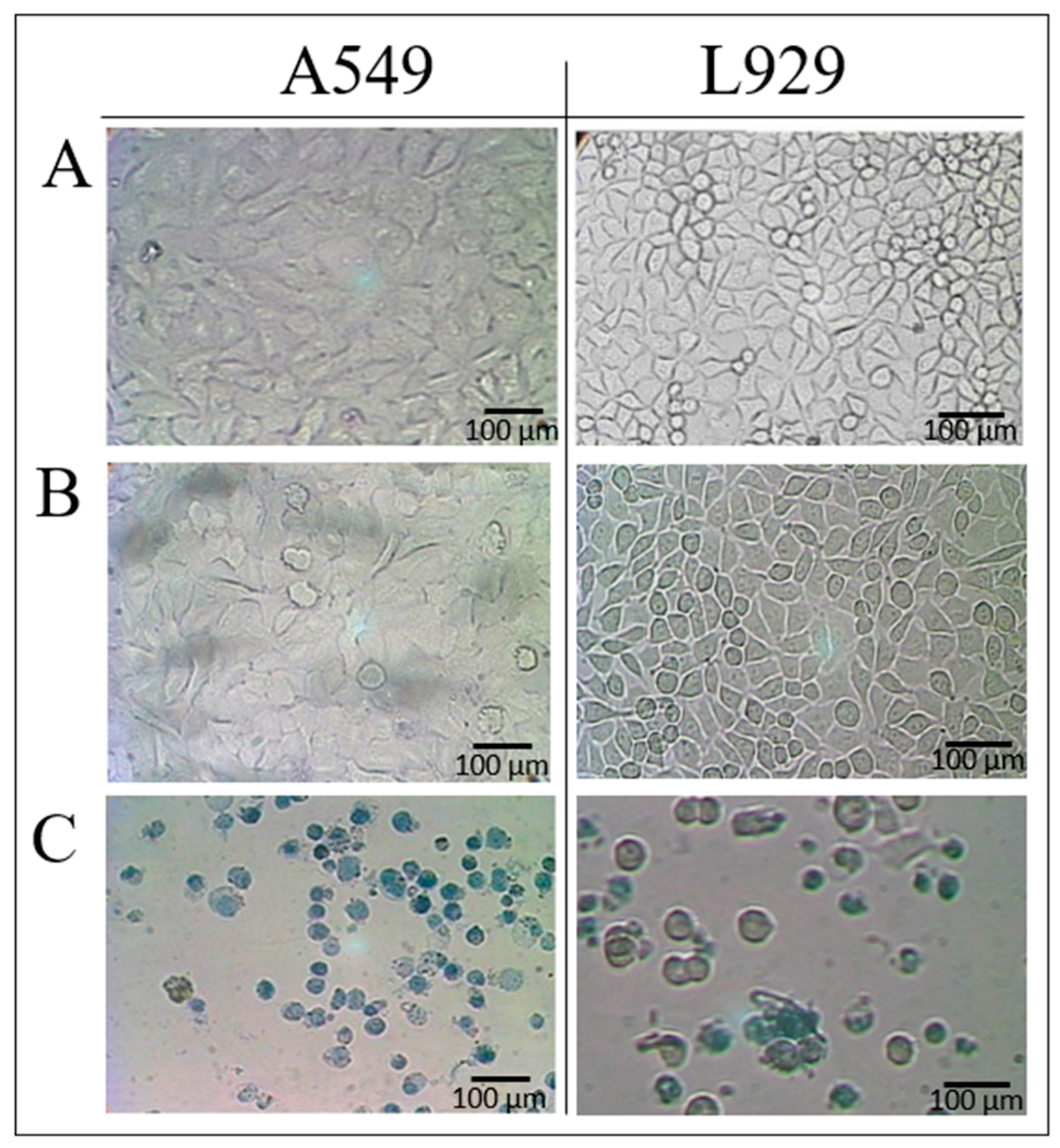 Jfb 14 00182 g003 Jfb 14 00182 g003
