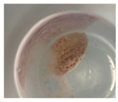 Jfb 14 00204 i003 Jfb 14 00204 i003