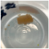 Jfb 14 00204 i005 Jfb 14 00204 i005