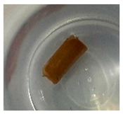 Jfb 14 00204 i009 Jfb 14 00204 i009