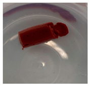 Jfb 14 00204 i010 Jfb 14 00204 i010