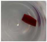 Jfb 14 00204 i012 Jfb 14 00204 i012