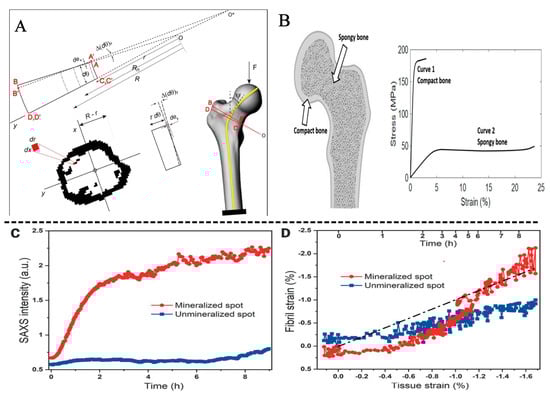 Jfb 14 00212 g002a Jfb 14 00212 g002a