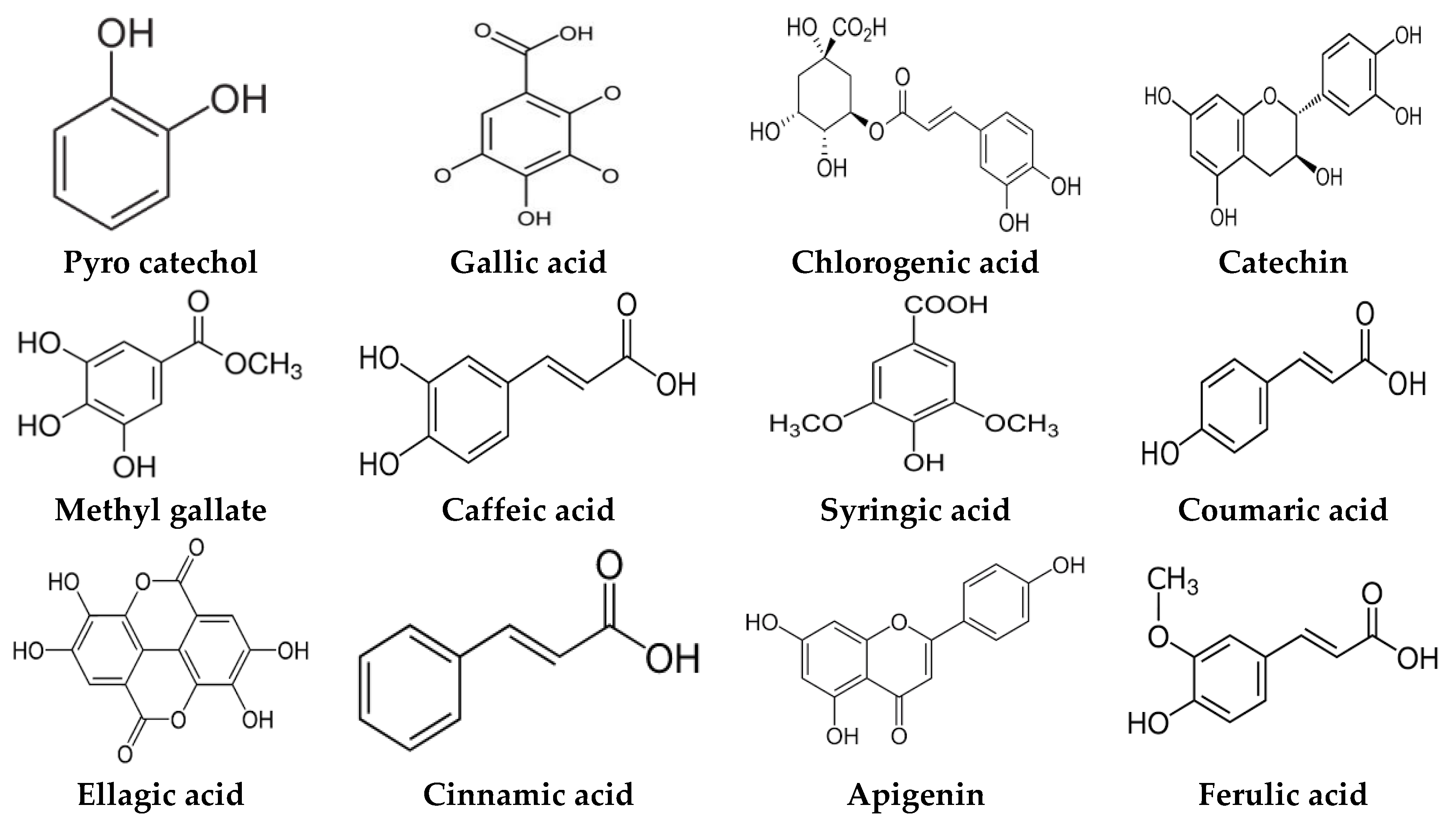 Jfb 14 00237 g002a Jfb 14 00237 g002a