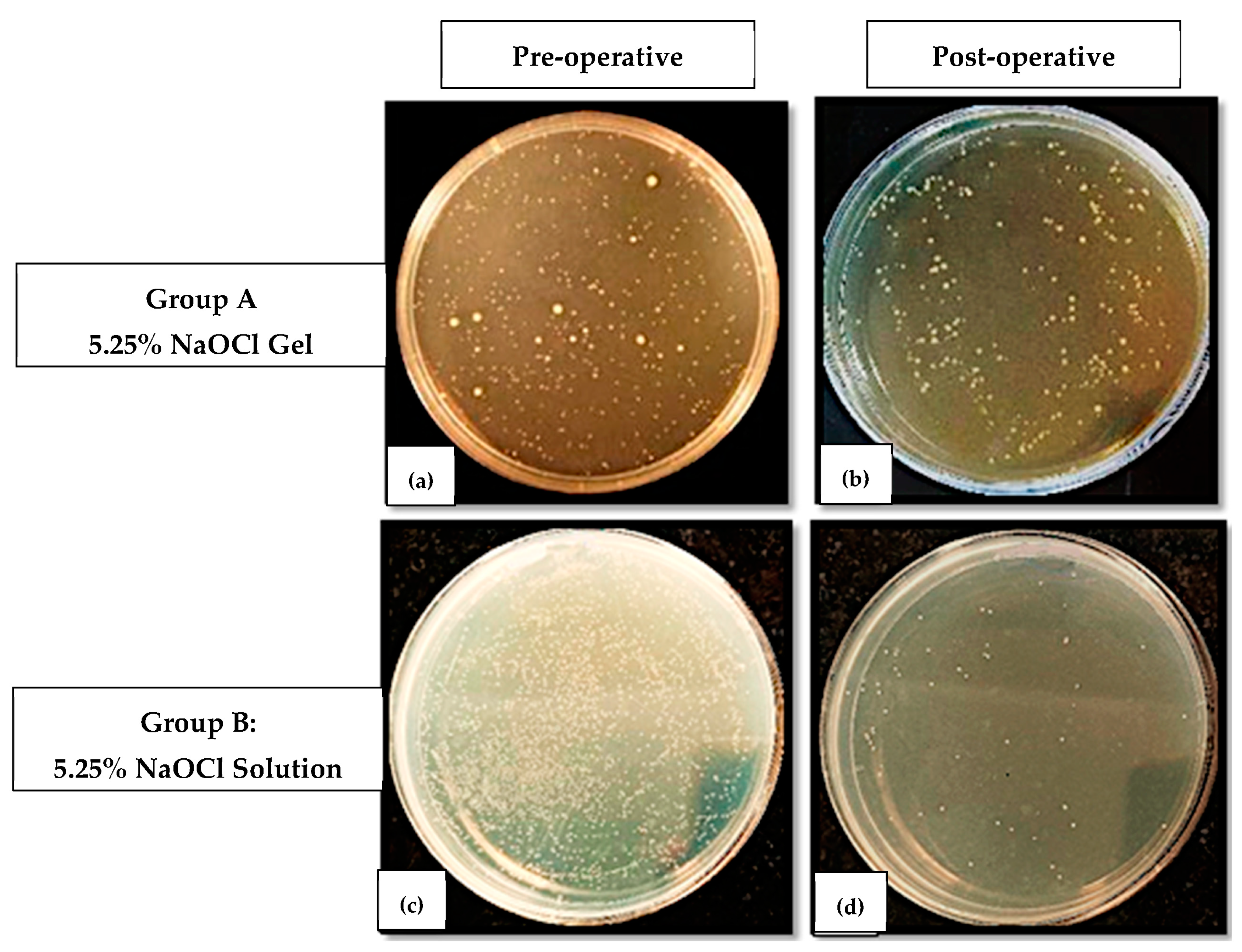 Jfb 14 00240 g002 Jfb 14 00240 g002