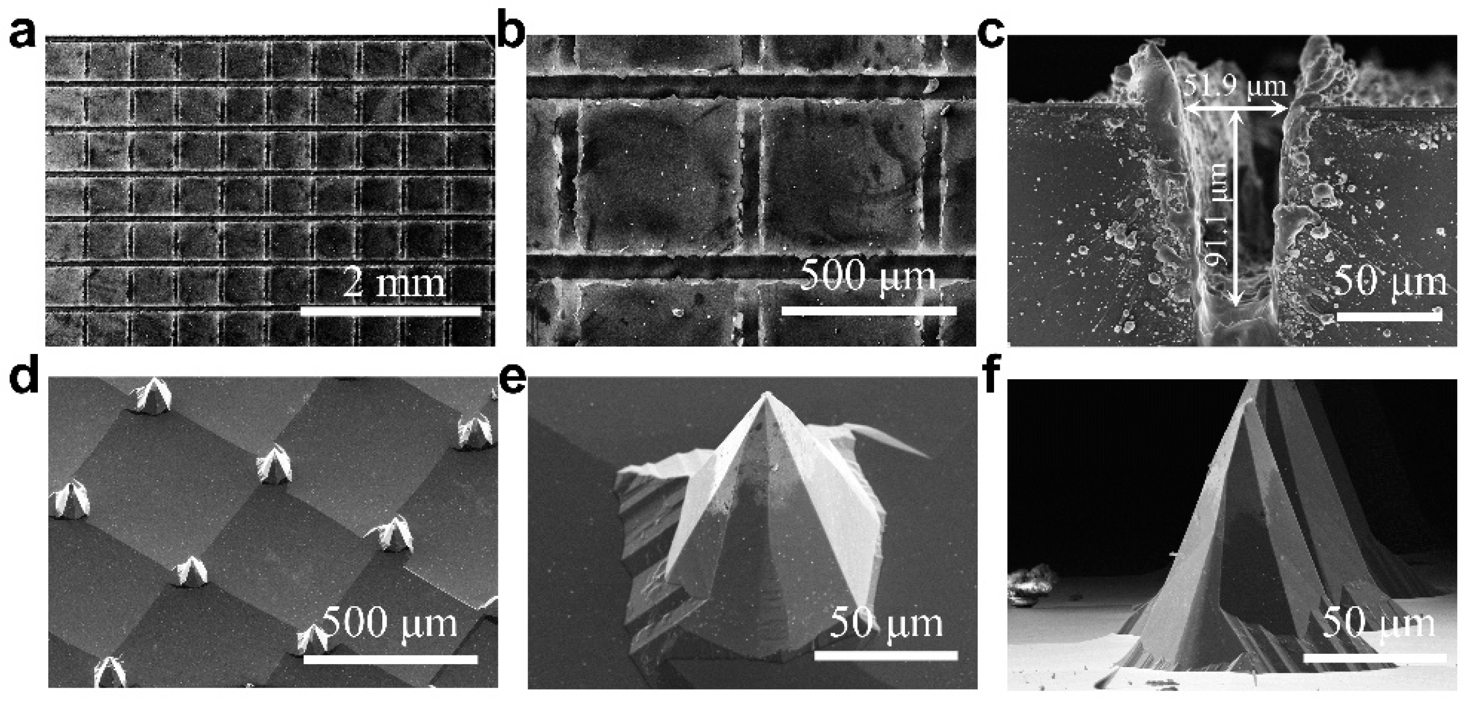 Jfb 14 00245 g002 Jfb 14 00245 g002