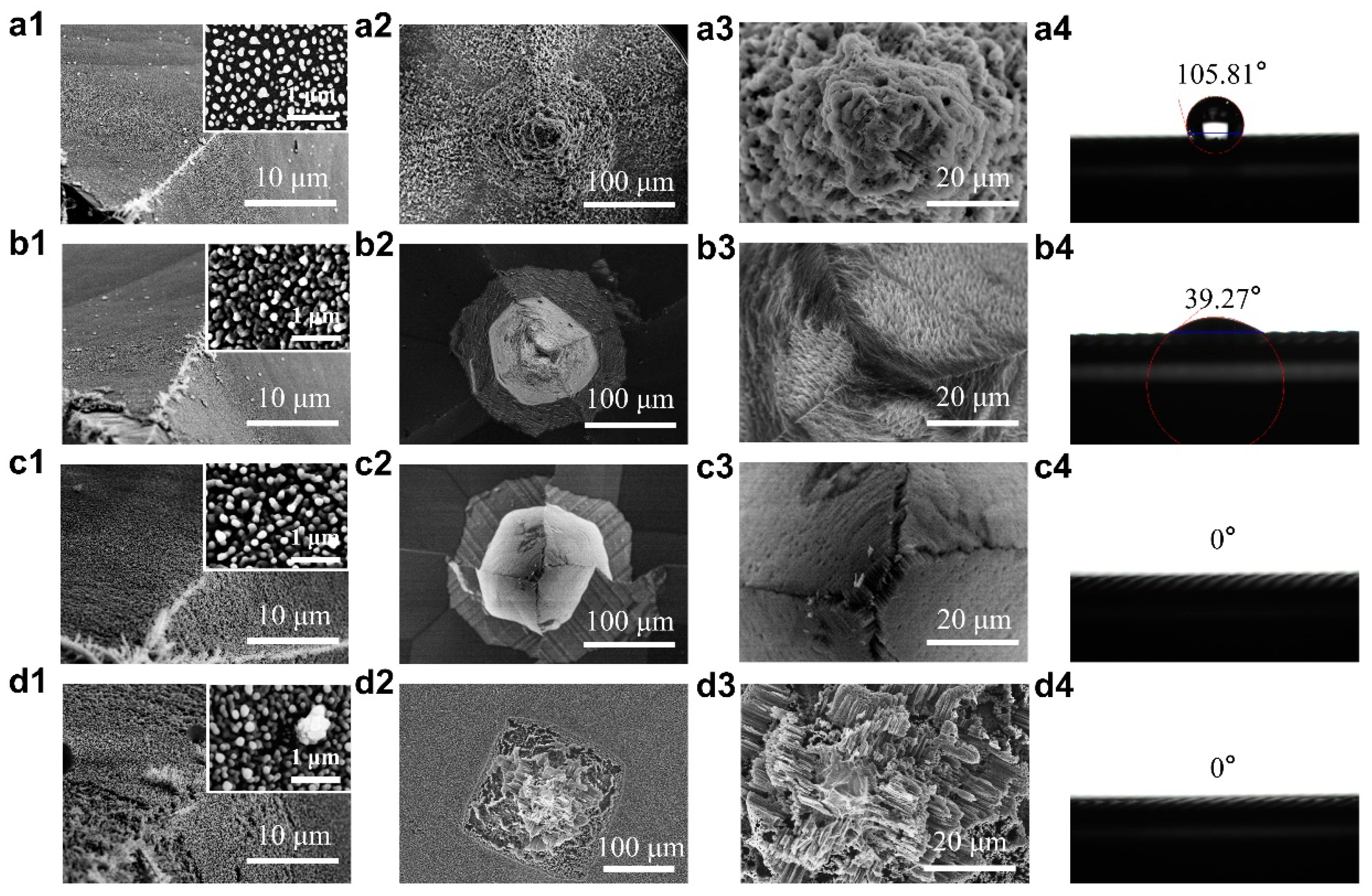 Jfb 14 00245 g003 Jfb 14 00245 g003