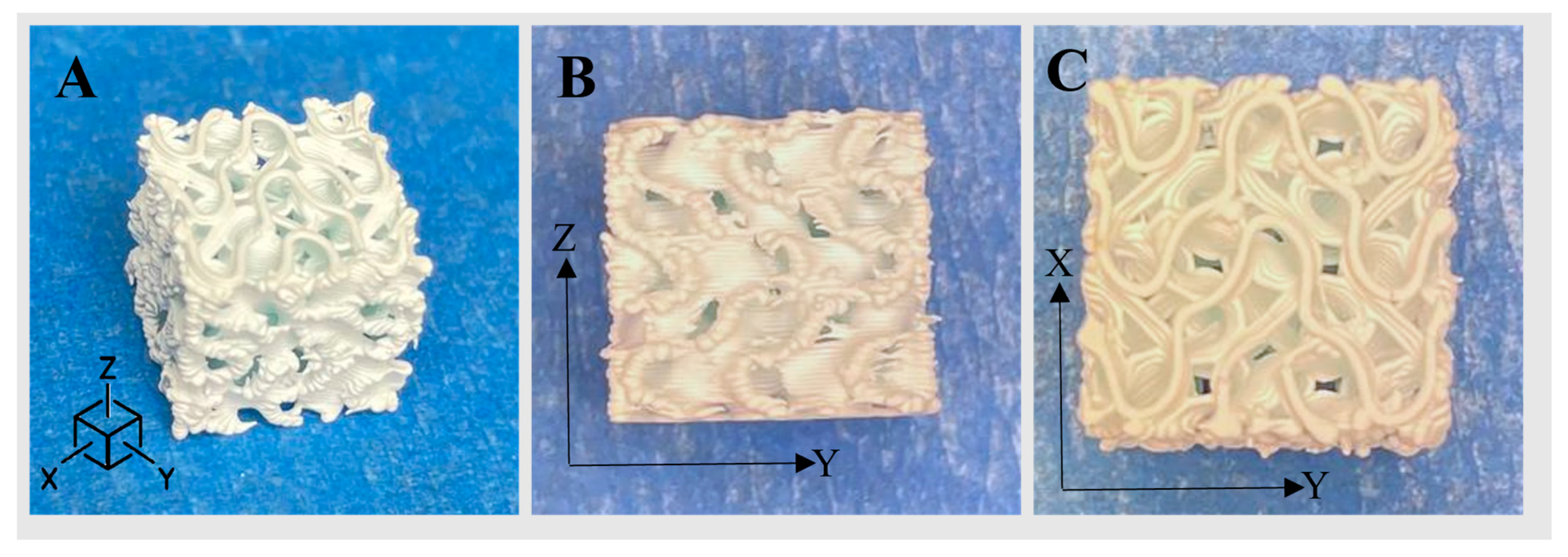 Jfb 14 00251 g005 Jfb 14 00251 g005