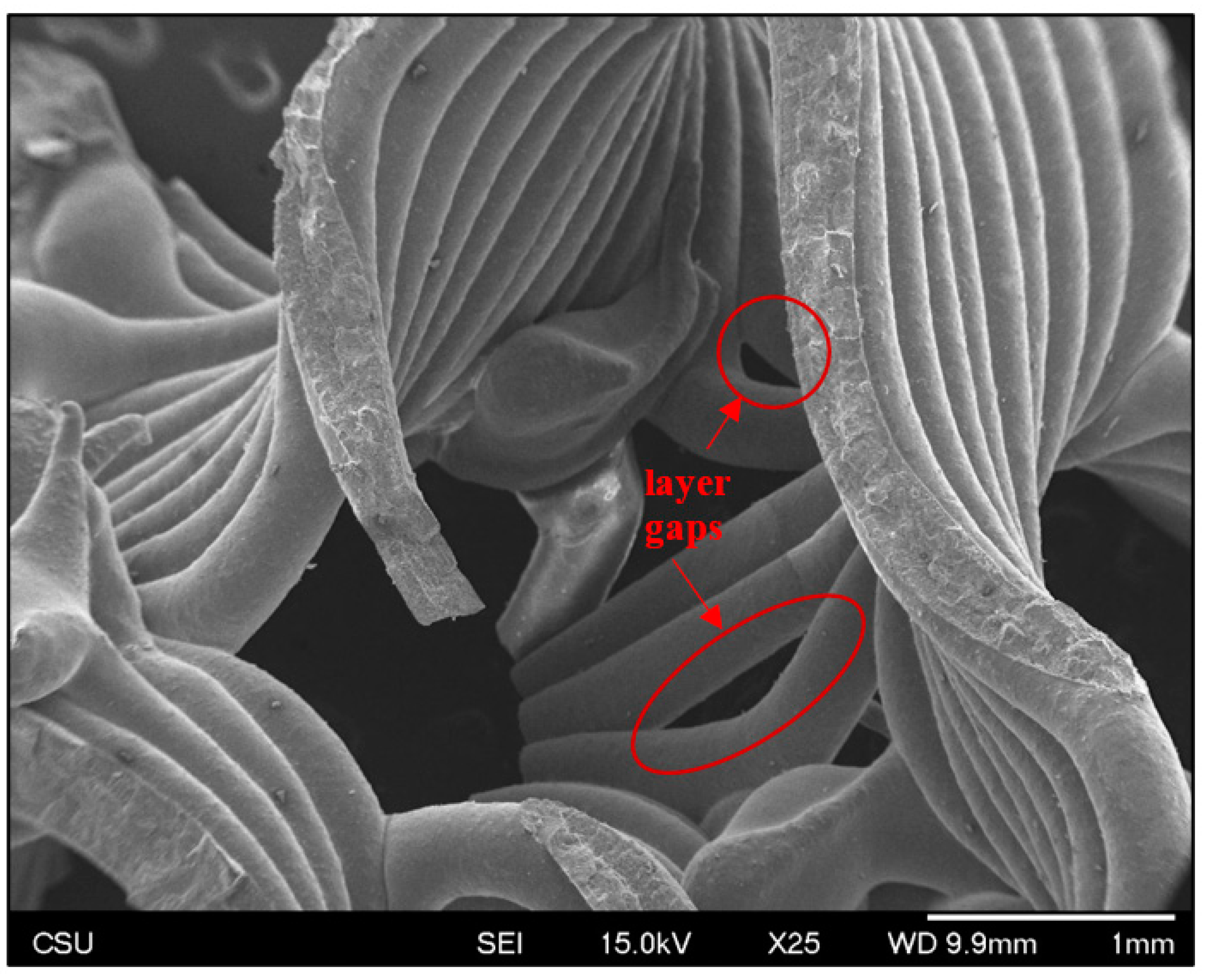 Jfb 14 00251 g008 Jfb 14 00251 g008