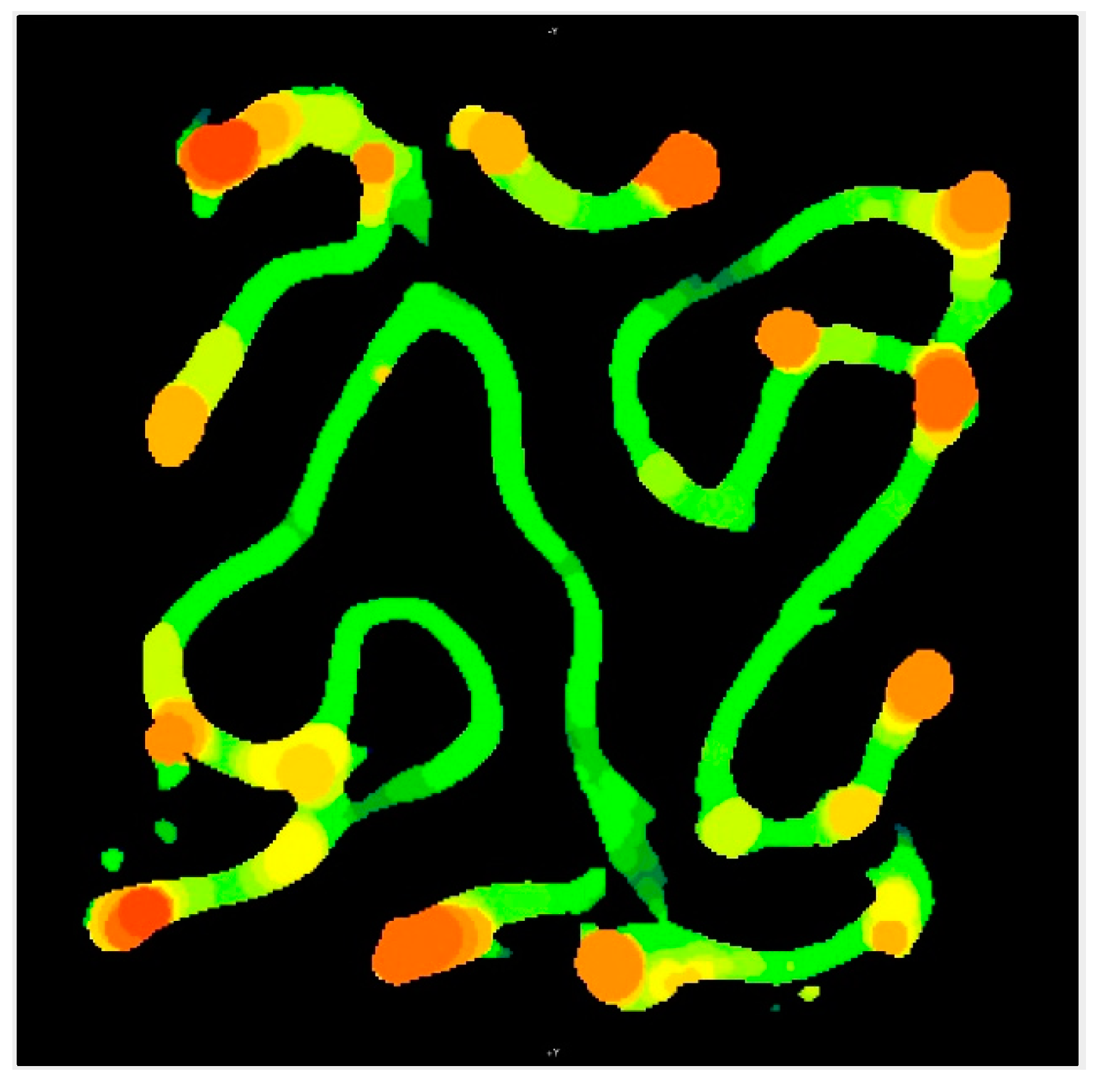 Jfb 14 00251 g013 Jfb 14 00251 g013