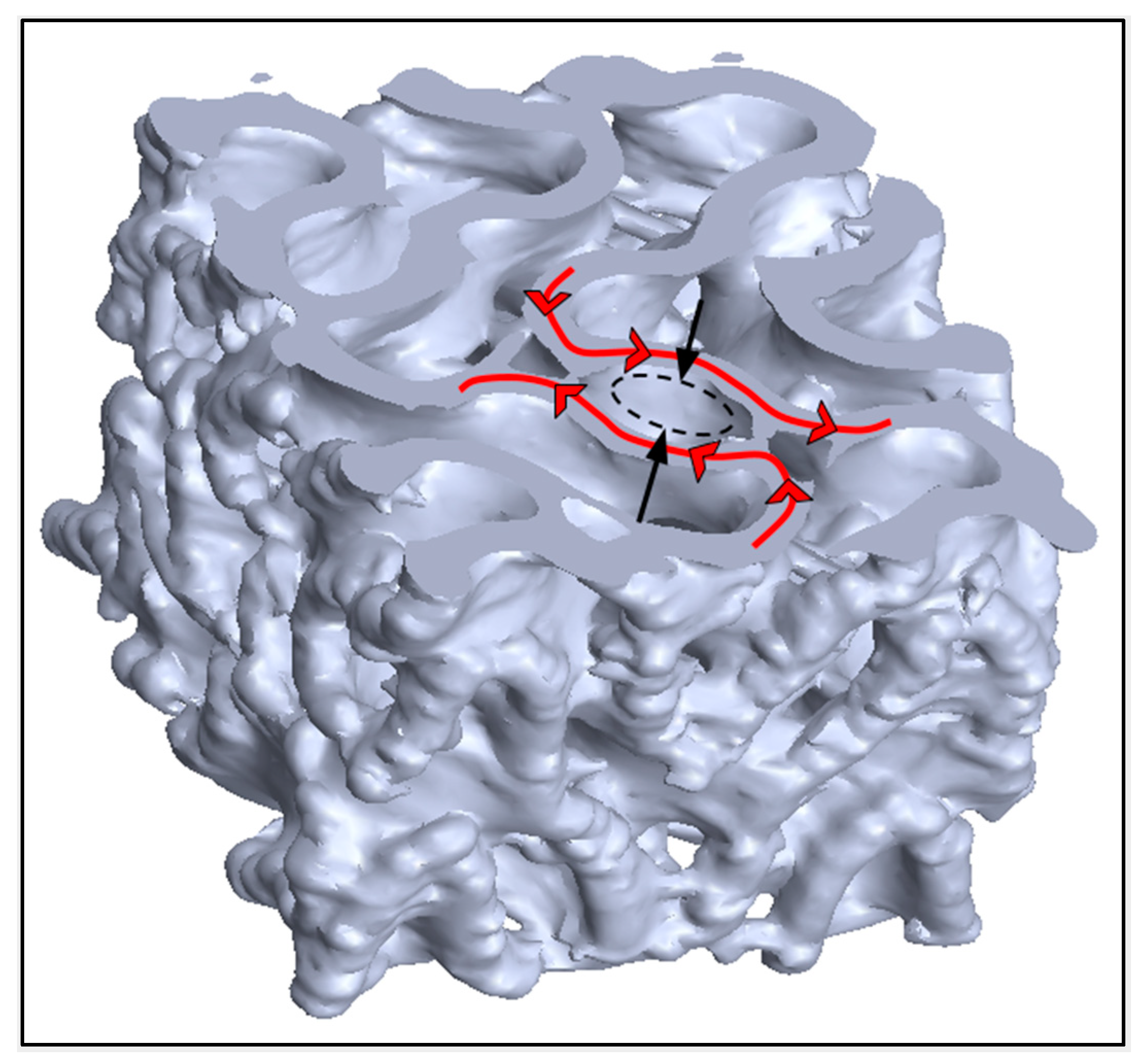 Jfb 14 00251 g014 Jfb 14 00251 g014