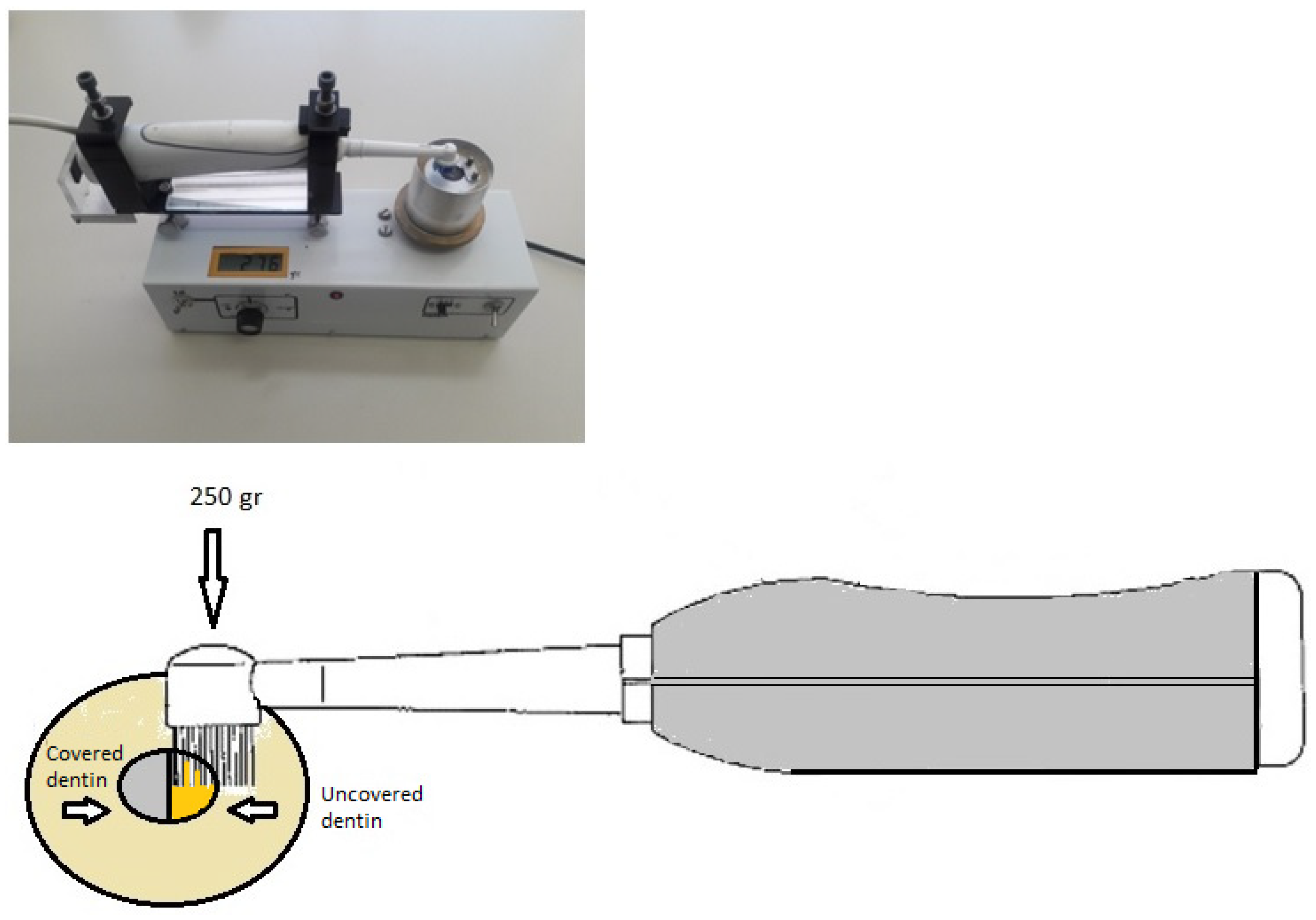 Jfb 14 00268 g001 Jfb 14 00268 g001