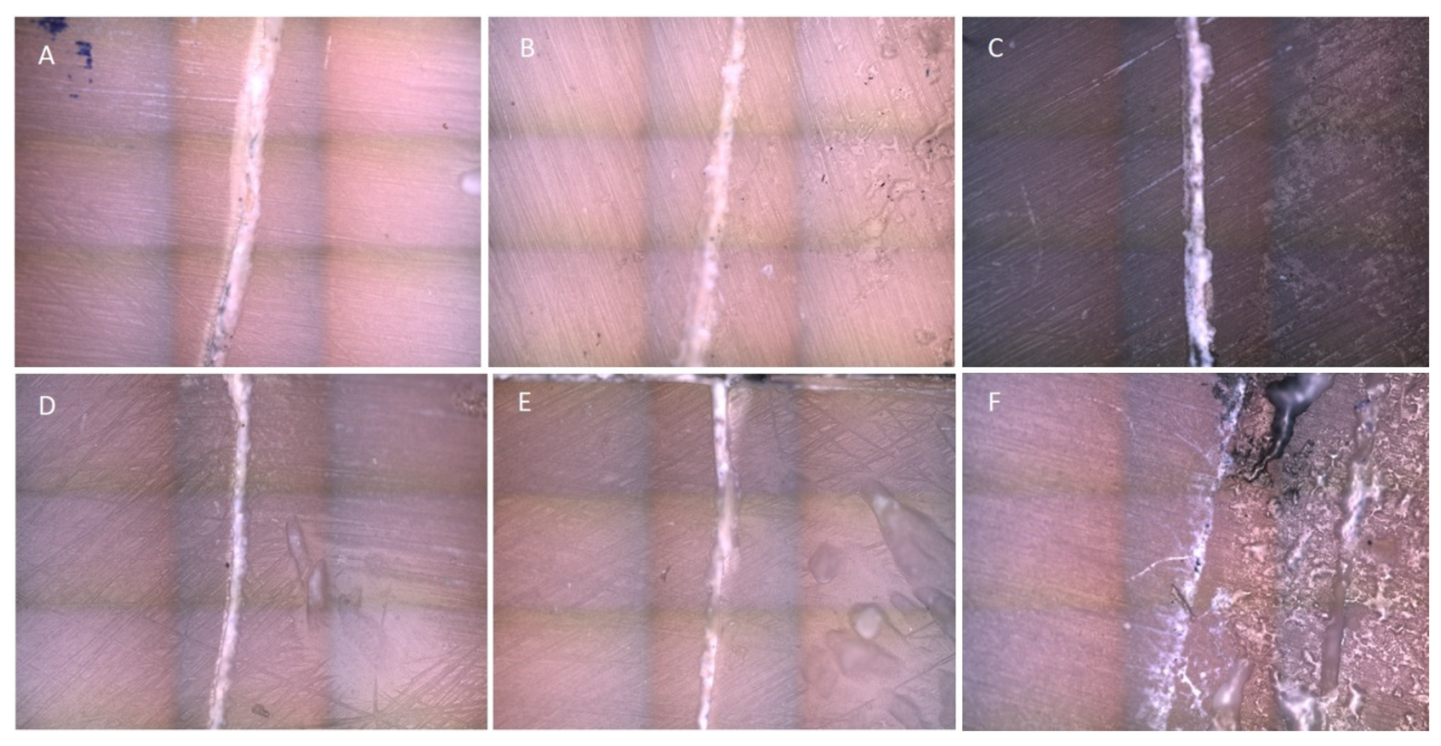 Jfb 14 00268 g005 Jfb 14 00268 g005