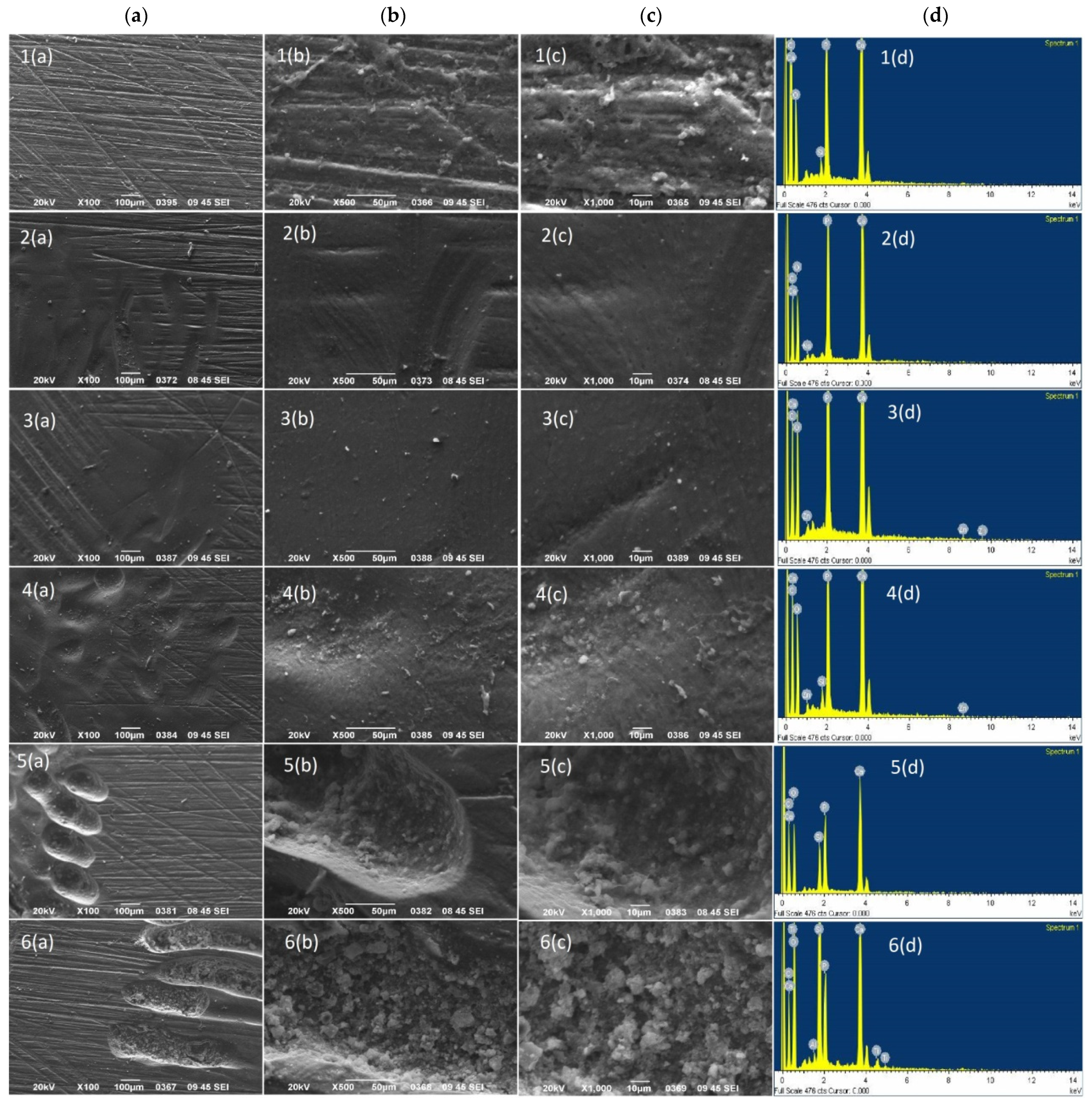 Jfb 14 00268 g006 Jfb 14 00268 g006