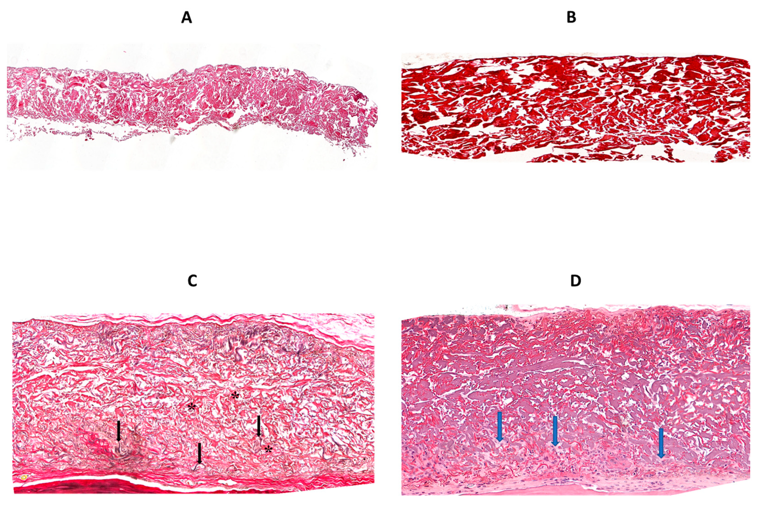 Jfb 14 00283 g006 Jfb 14 00283 g006