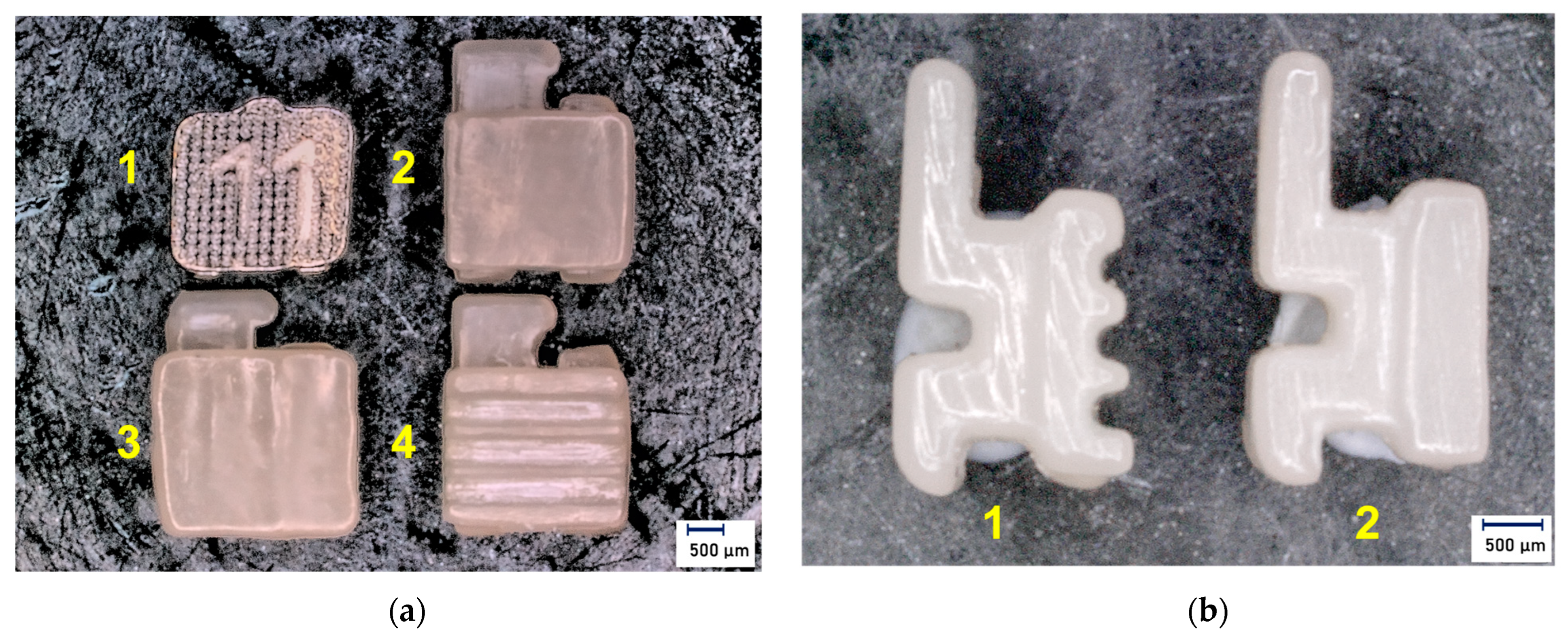 Jfb 14 00289 g002 Jfb 14 00289 g002