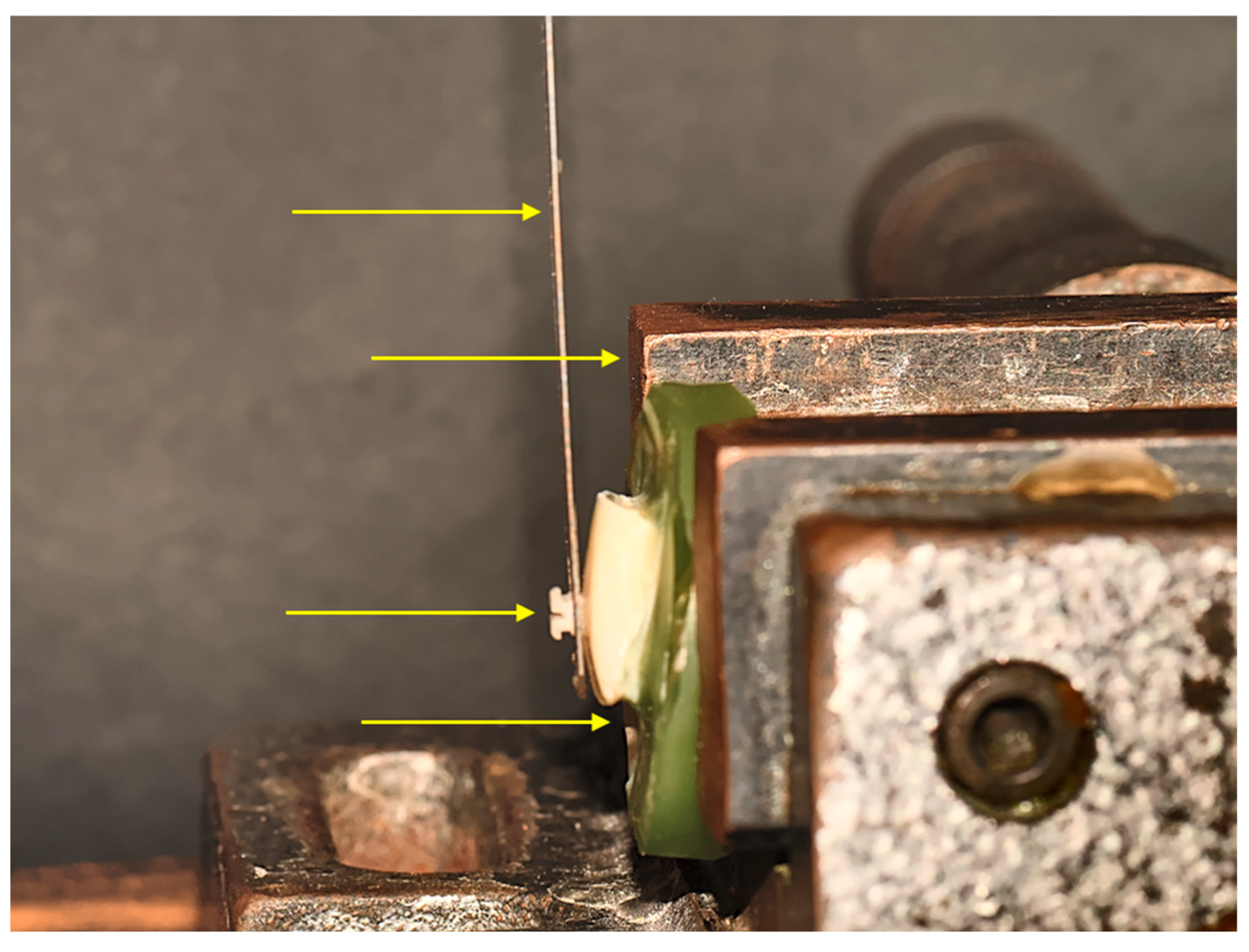 Jfb 14 00289 g003 Jfb 14 00289 g003