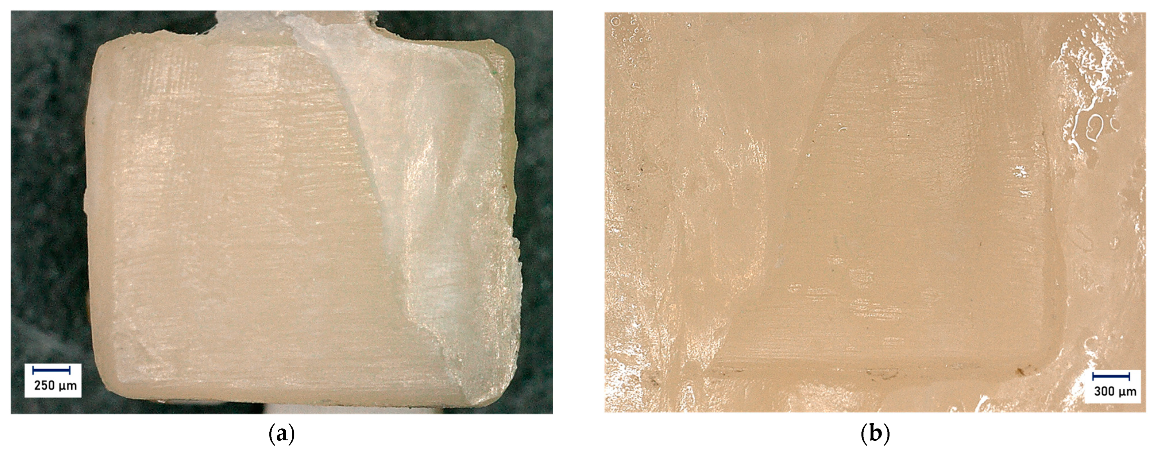 Jfb 14 00289 g004 Jfb 14 00289 g004