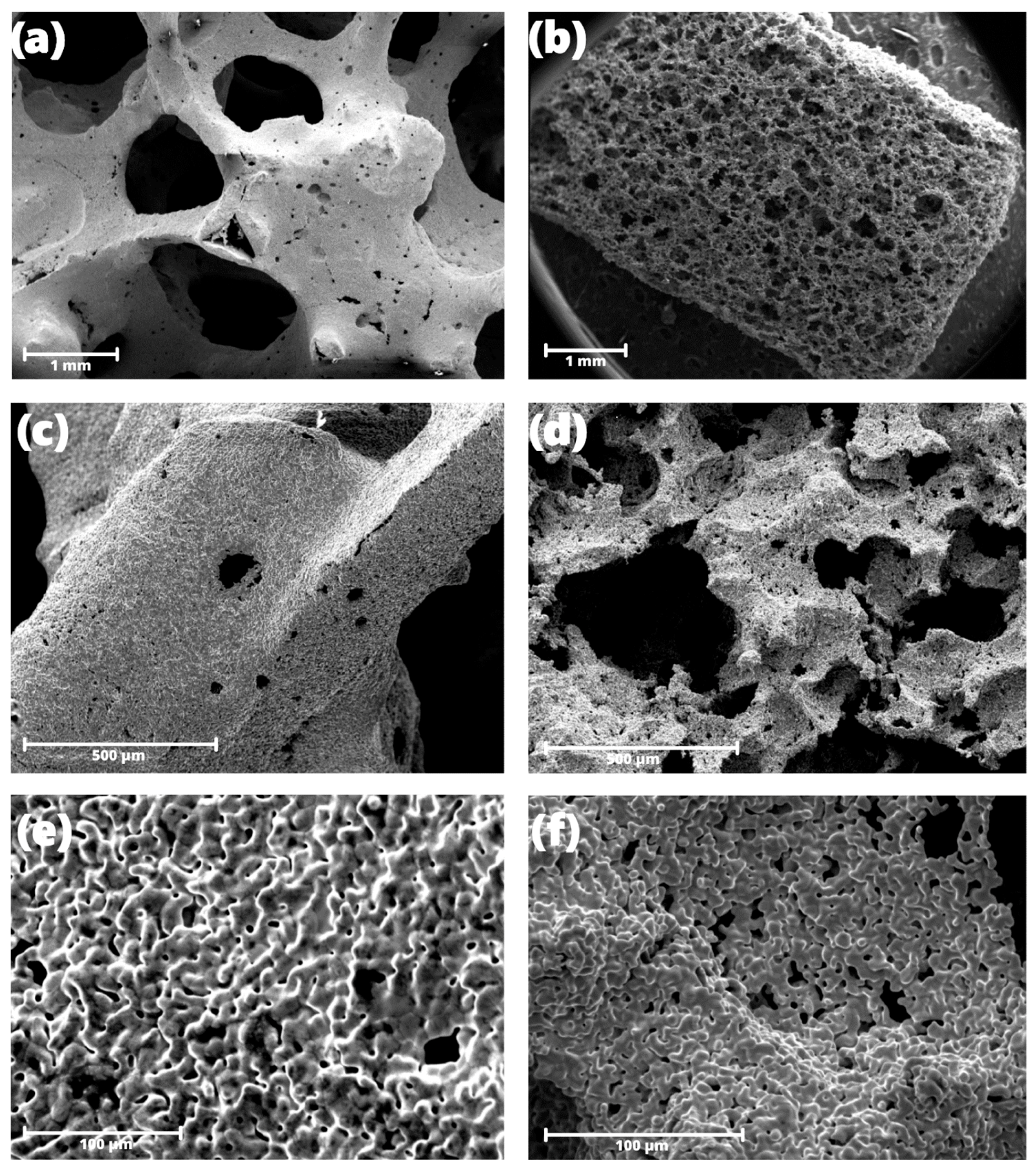 Jfb 14 00293 g002 Jfb 14 00293 g002