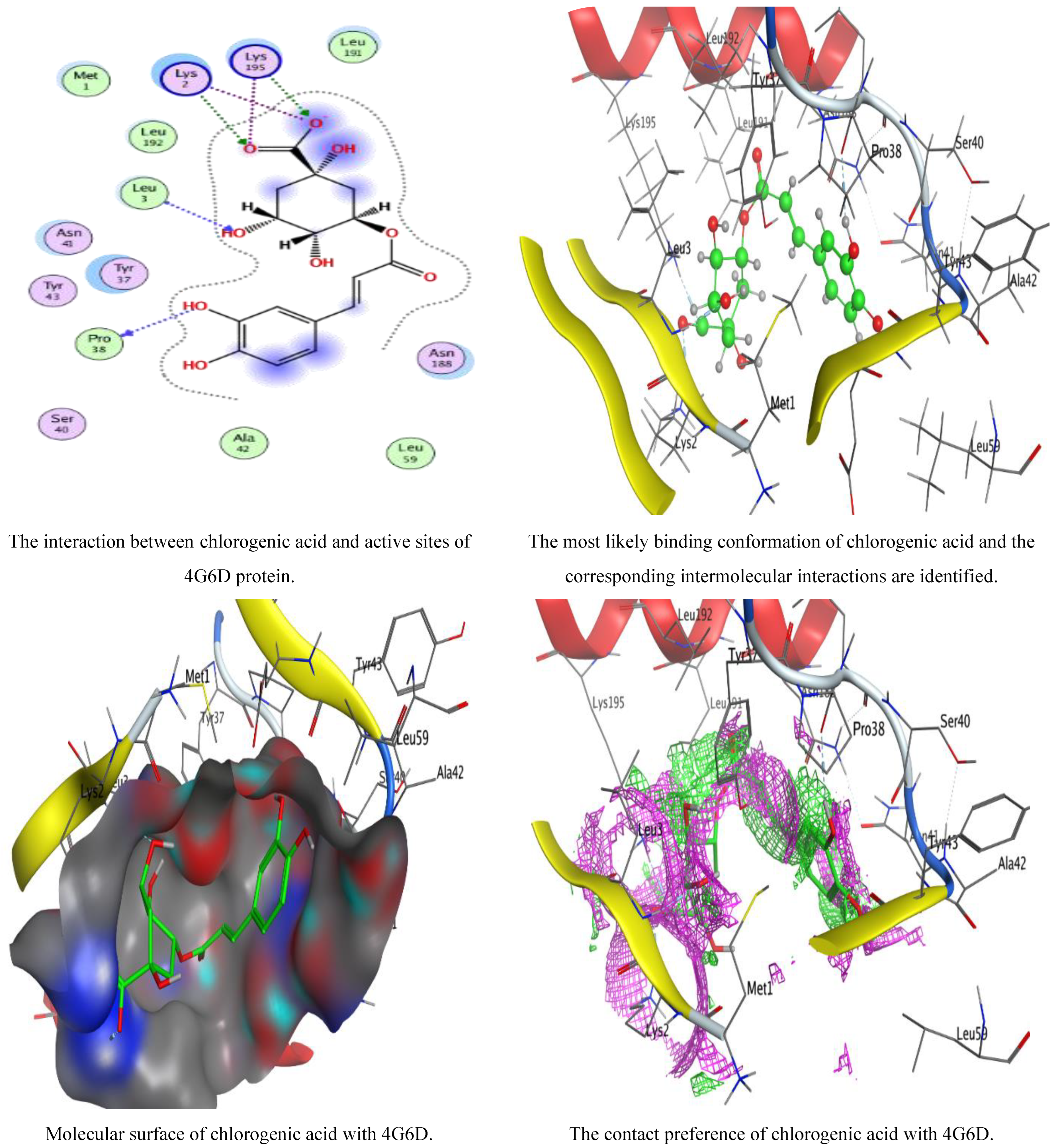 Jfb 14 00300 g009a Jfb 14 00300 g009a