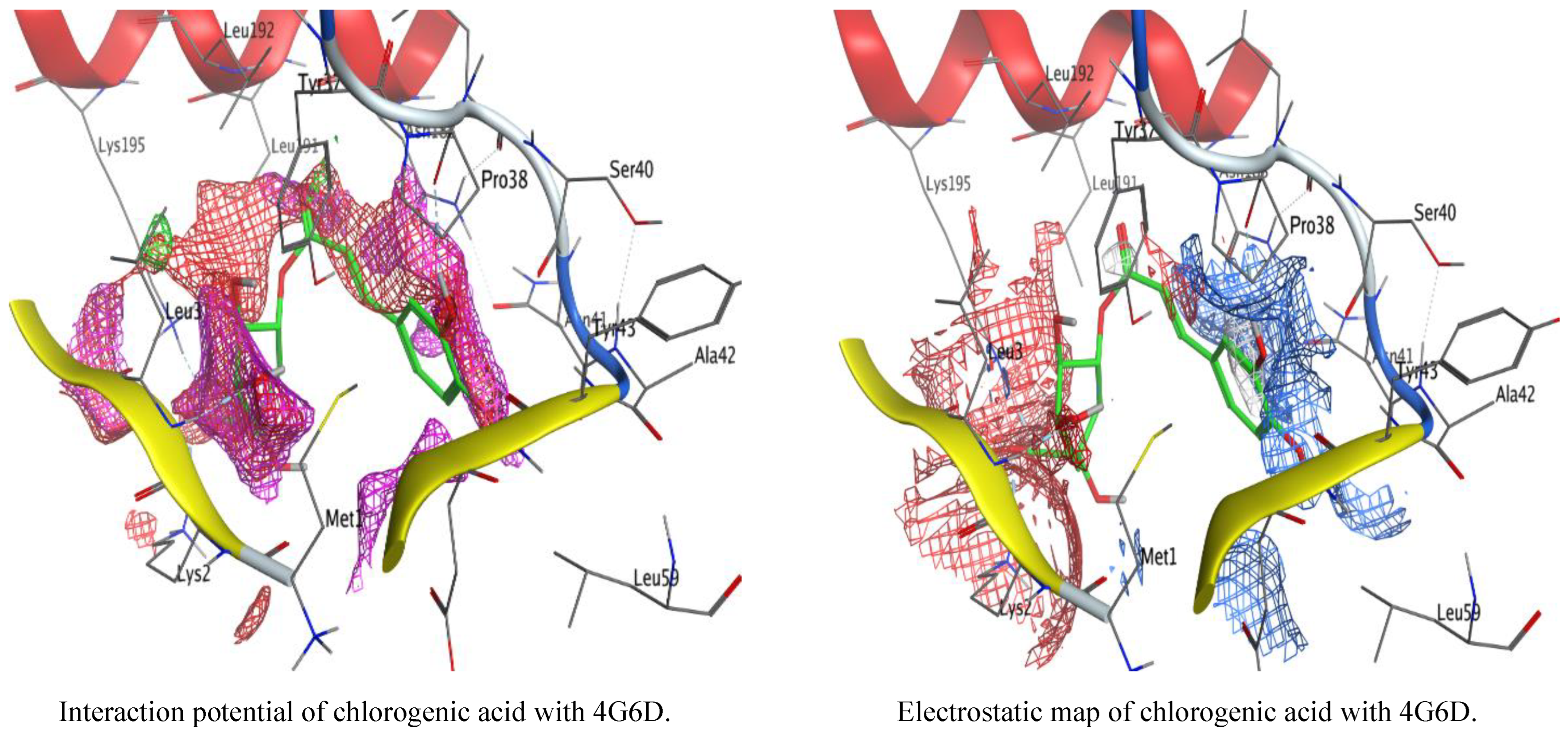 Jfb 14 00300 g009b Jfb 14 00300 g009b