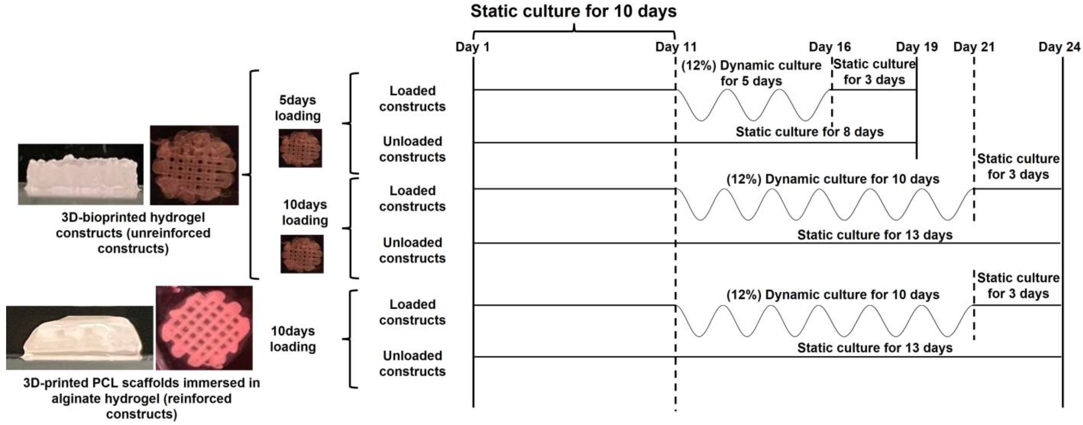 Jfb 14 00313 g001 Jfb 14 00313 g001