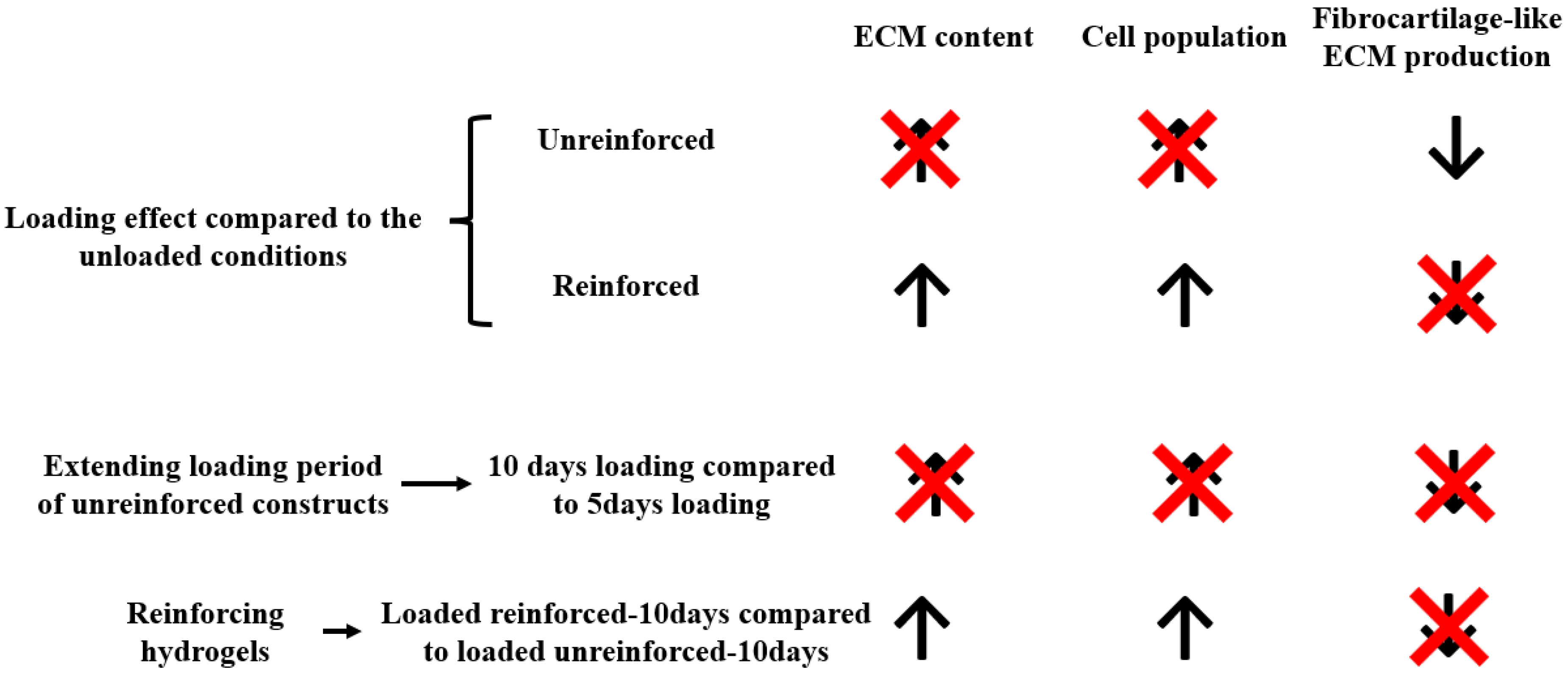 Jfb 14 00313 g006 Jfb 14 00313 g006