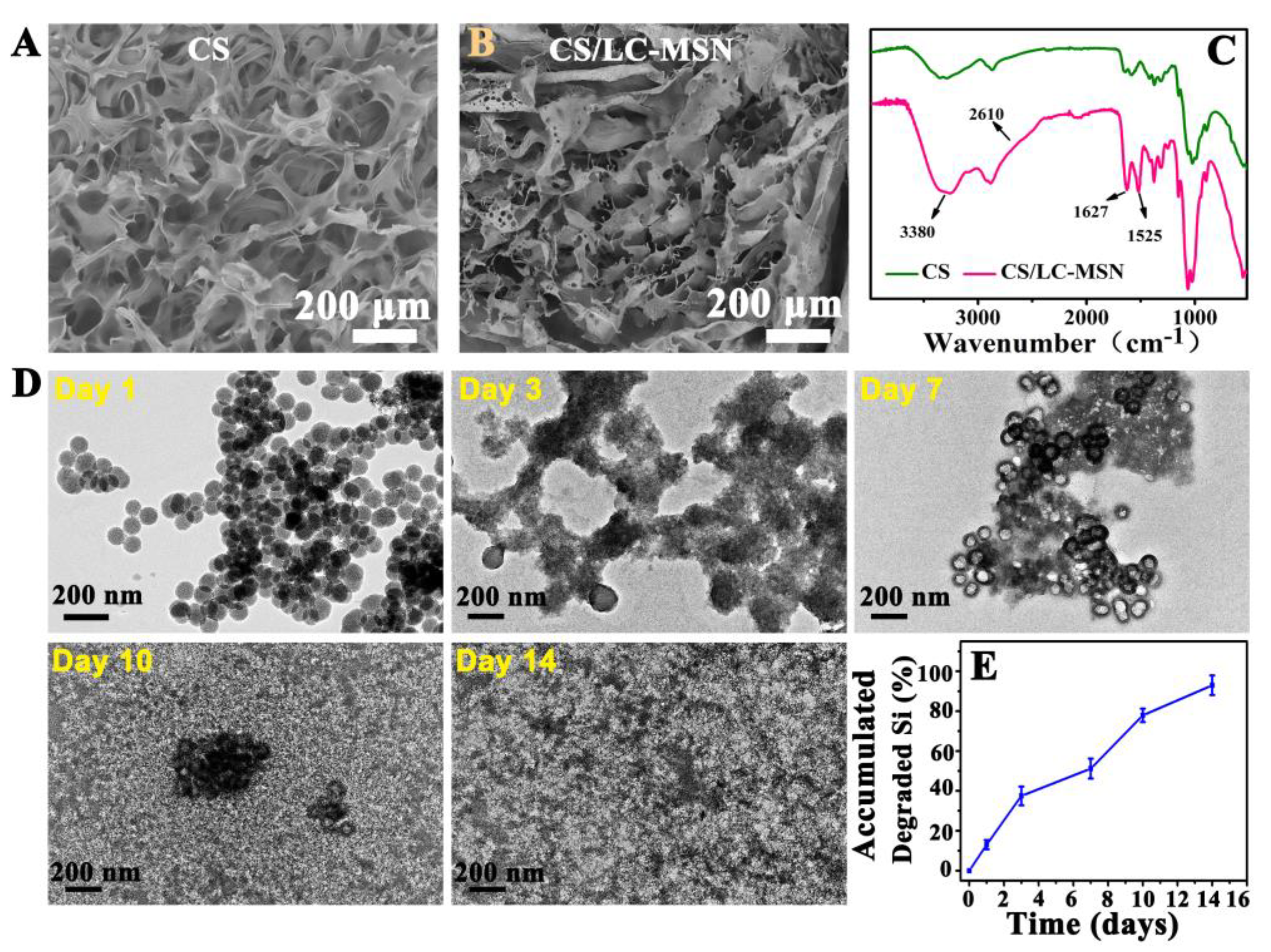 Jfb 14 00316 g002 Jfb 14 00316 g002