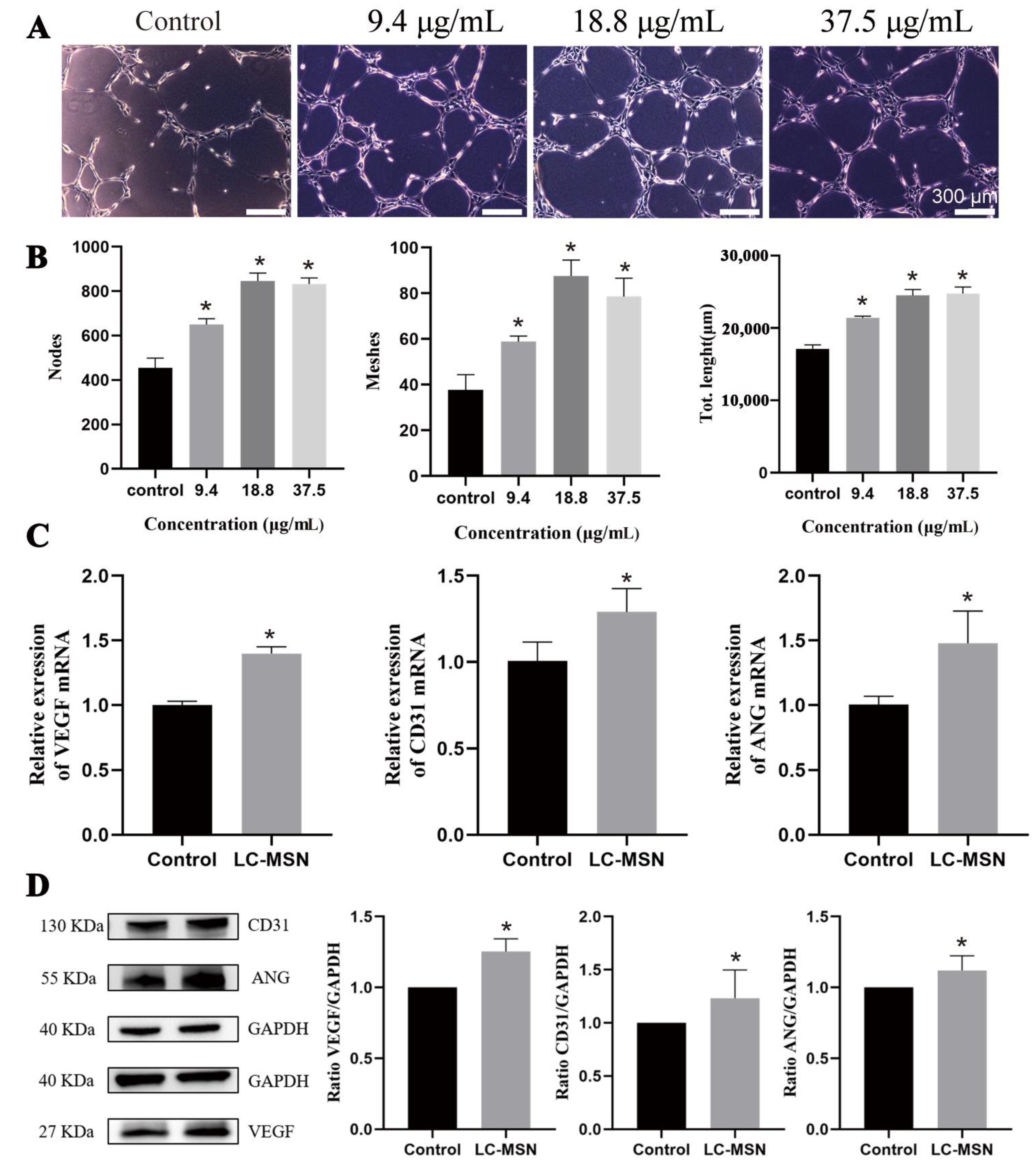 Jfb 14 00316 g004 Jfb 14 00316 g004