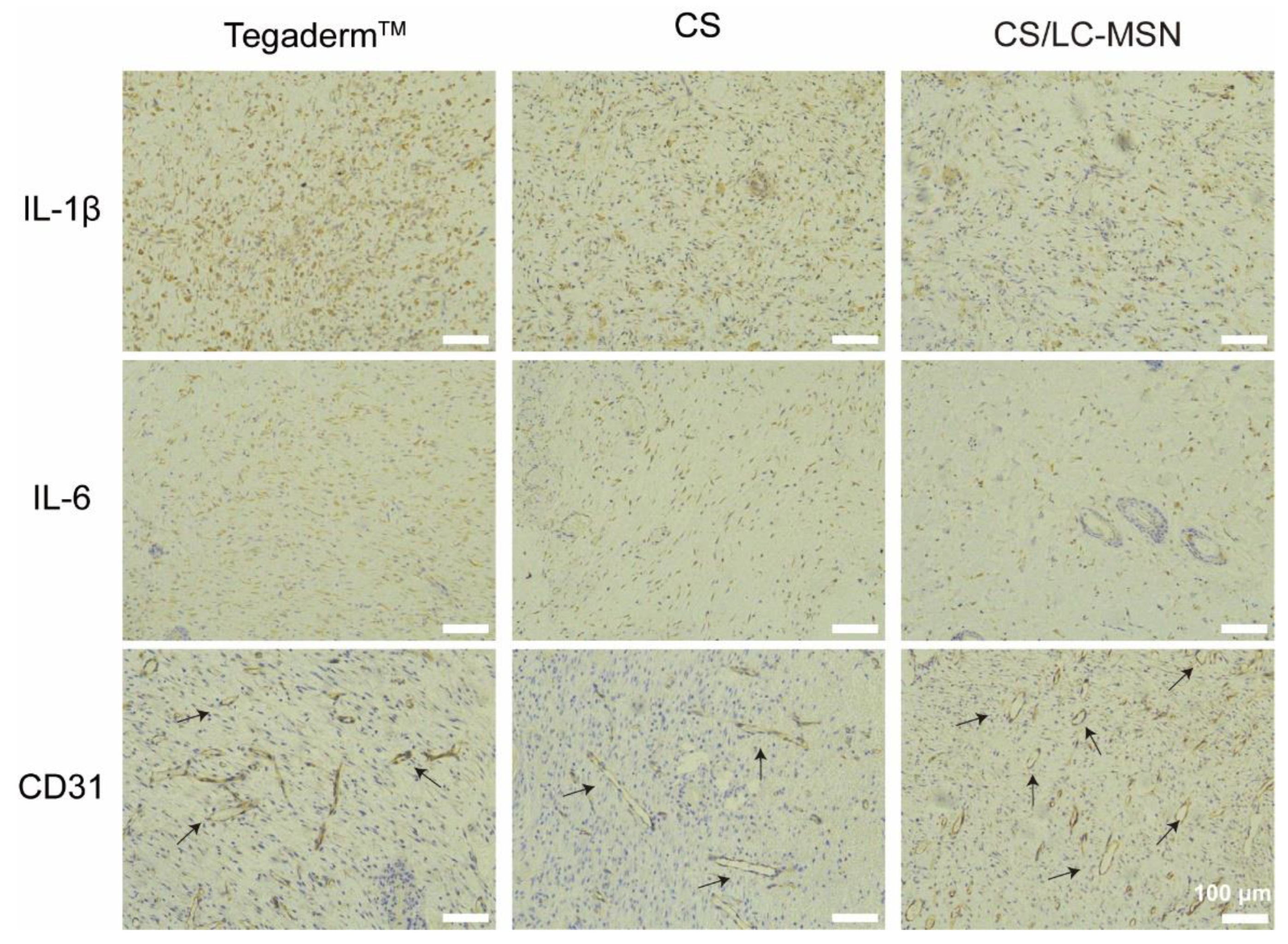 Jfb 14 00316 g006 Jfb 14 00316 g006