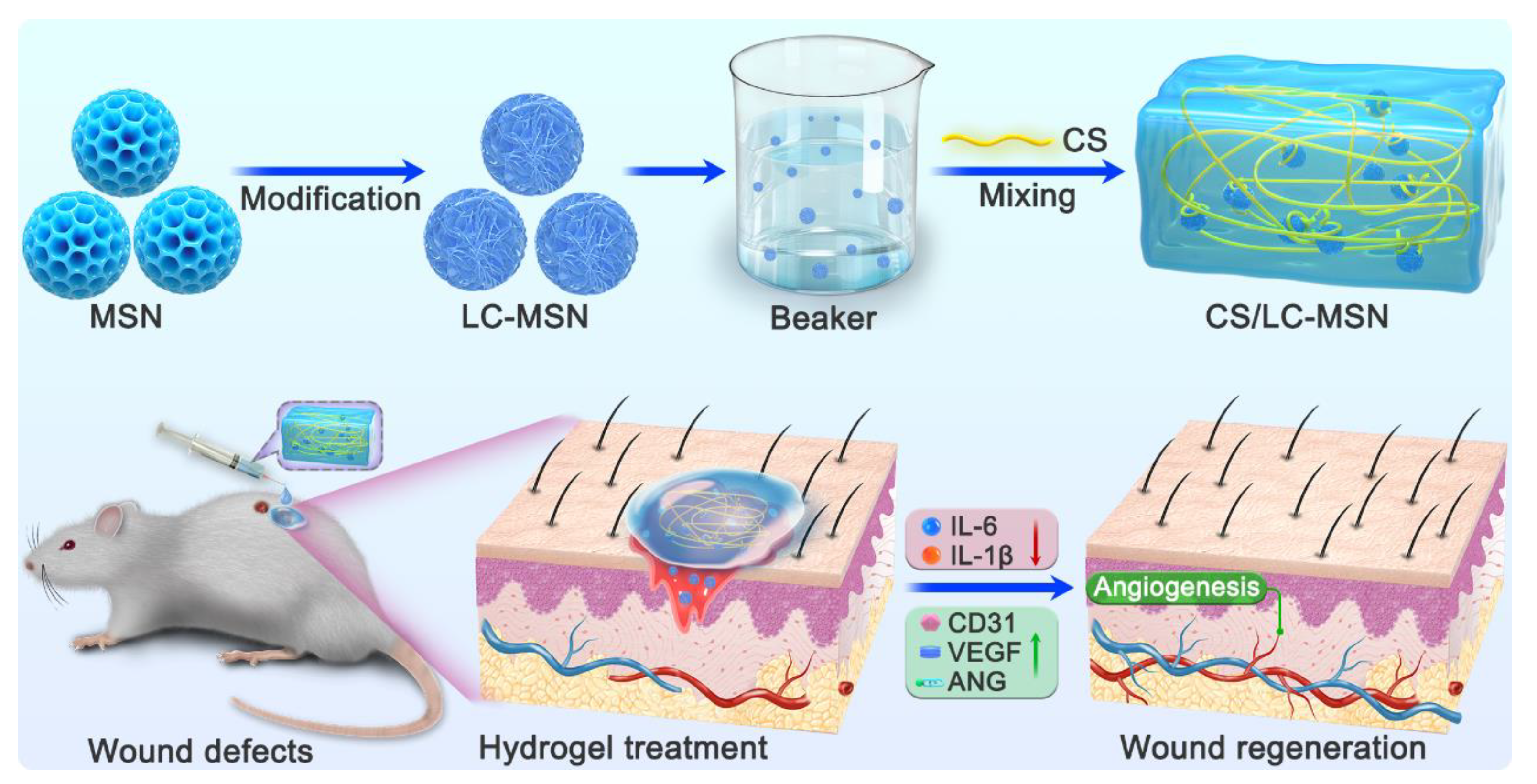 Jfb 14 00316 sch001 Jfb 14 00316 sch001